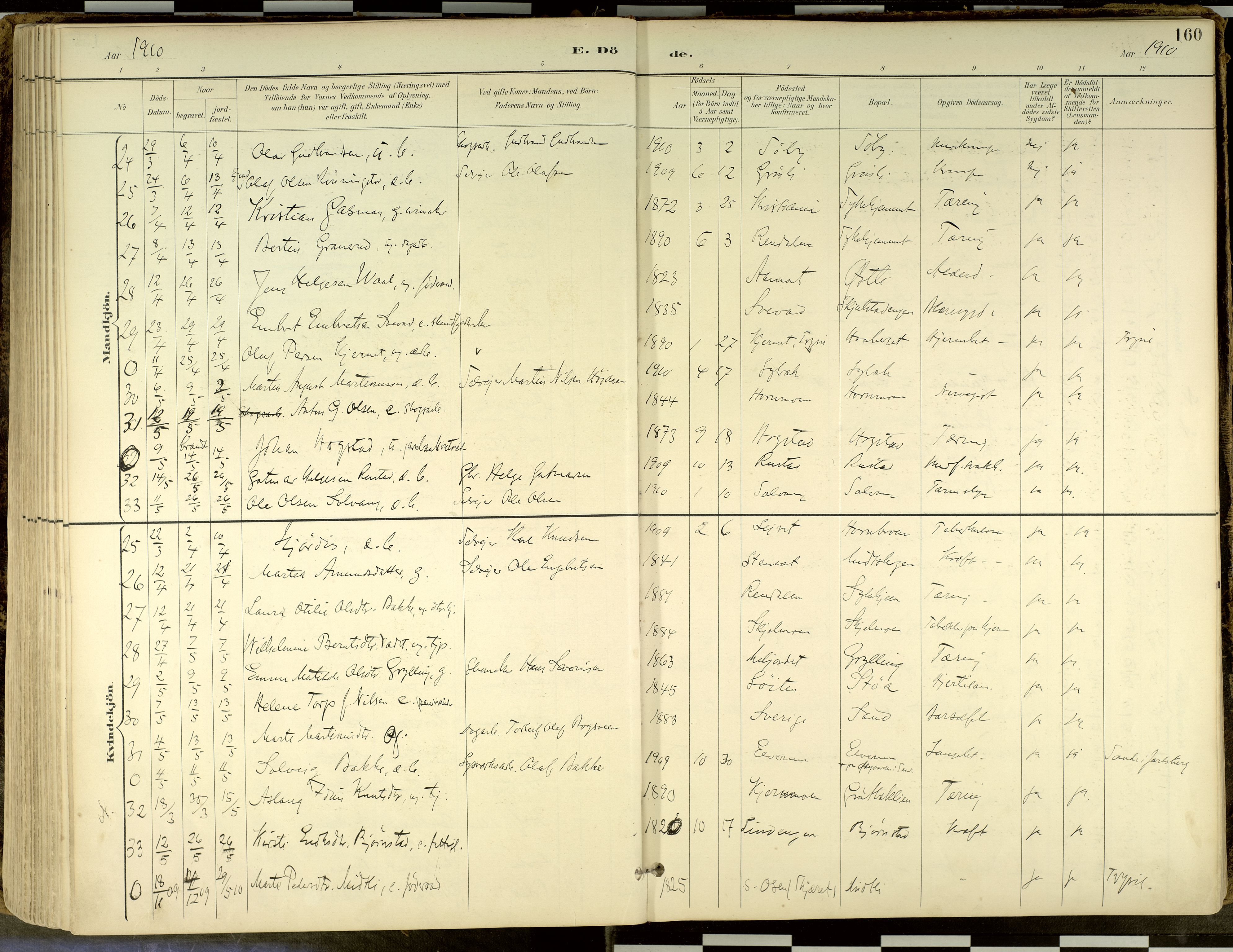 Elverum prestekontor, AV/SAH-PREST-044/H/Ha/Haa/L0018: Parish register (official) no. 18, 1894-1914, p. 160