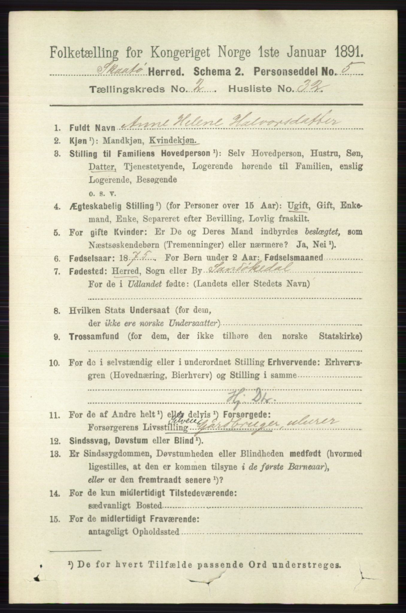 RA, 1891 census for 0815 Skåtøy, 1891, p. 602