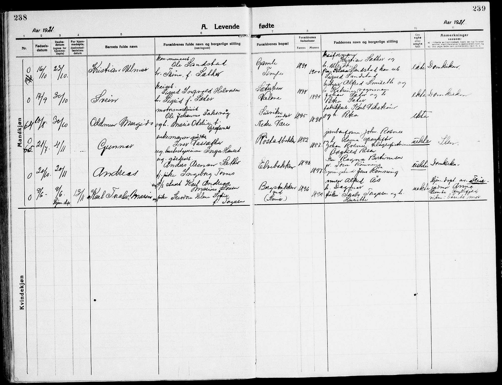 Ministerialprotokoller, klokkerbøker og fødselsregistre - Sør-Trøndelag, AV/SAT-A-1456/607/L0321: Parish register (official) no. 607A05, 1916-1935, p. 238-239