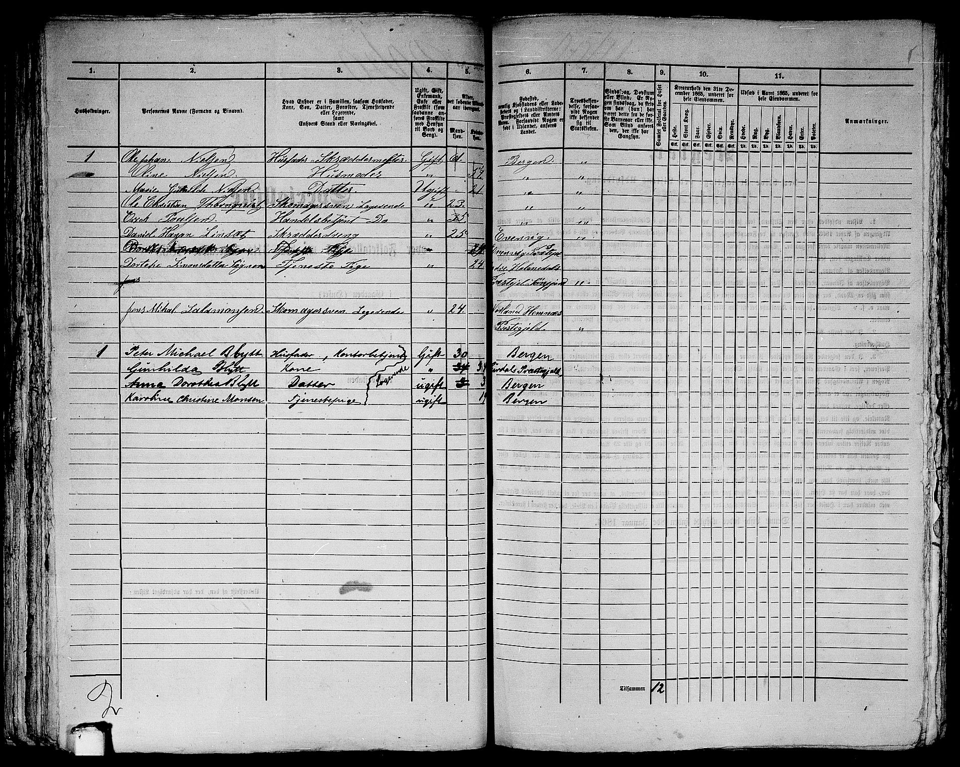 RA, 1865 census for Bergen, 1865, p. 4173