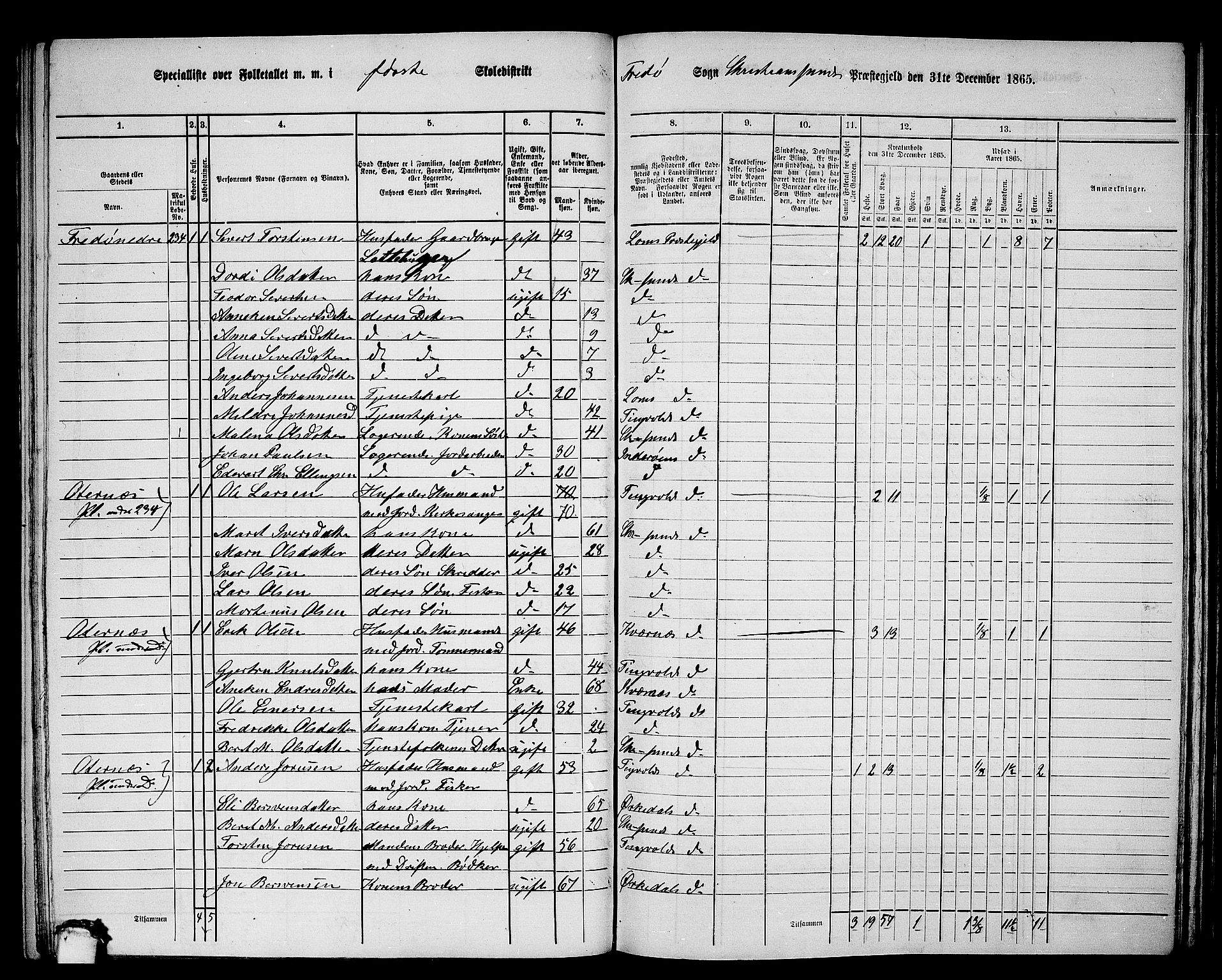 RA, 1865 census for Kristiansund/Frei og Grip, 1865, p. 21