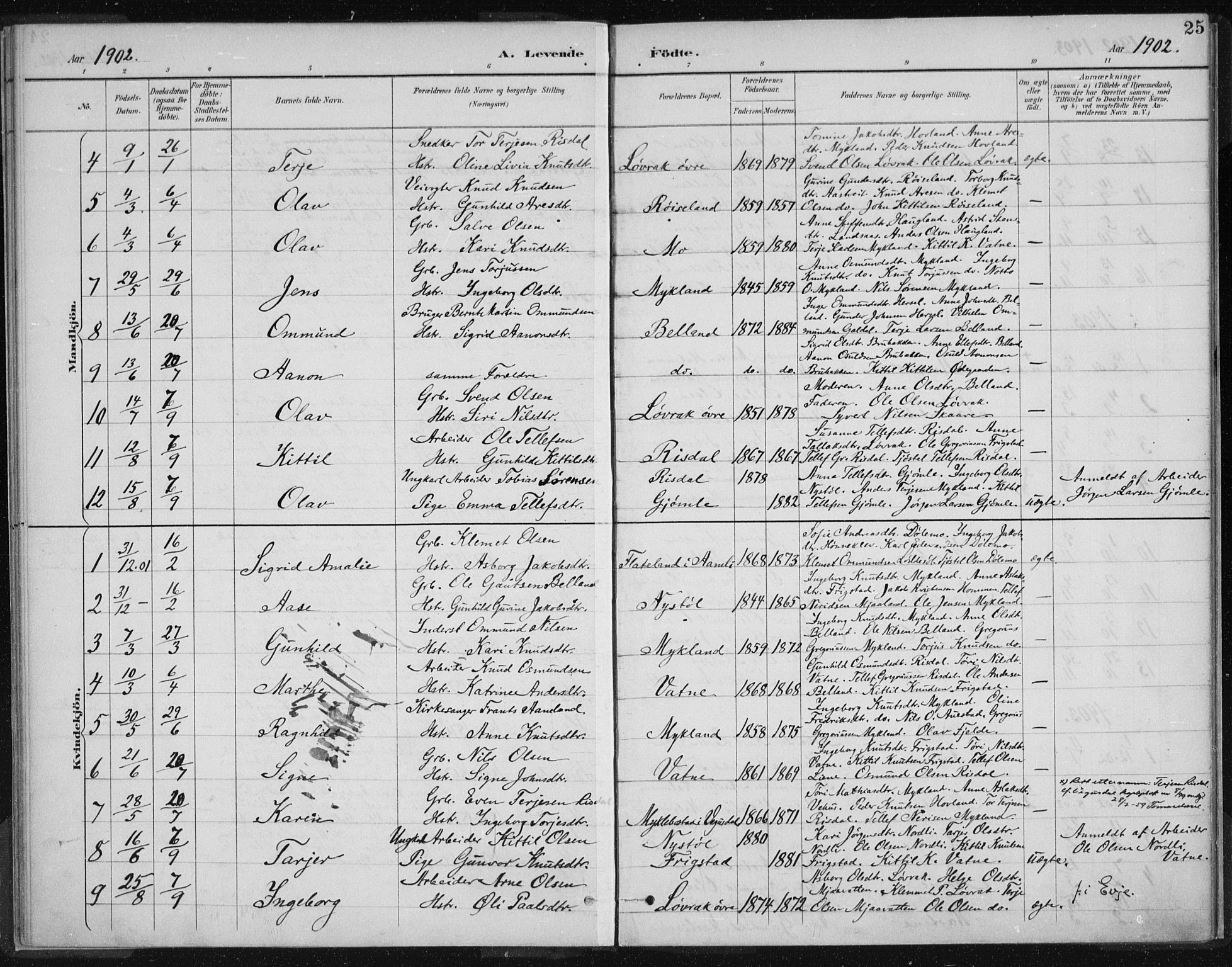 Herefoss sokneprestkontor, SAK/1111-0019/F/Fa/Fac/L0002: Parish register (official) no. A 2, 1887-1915, p. 25