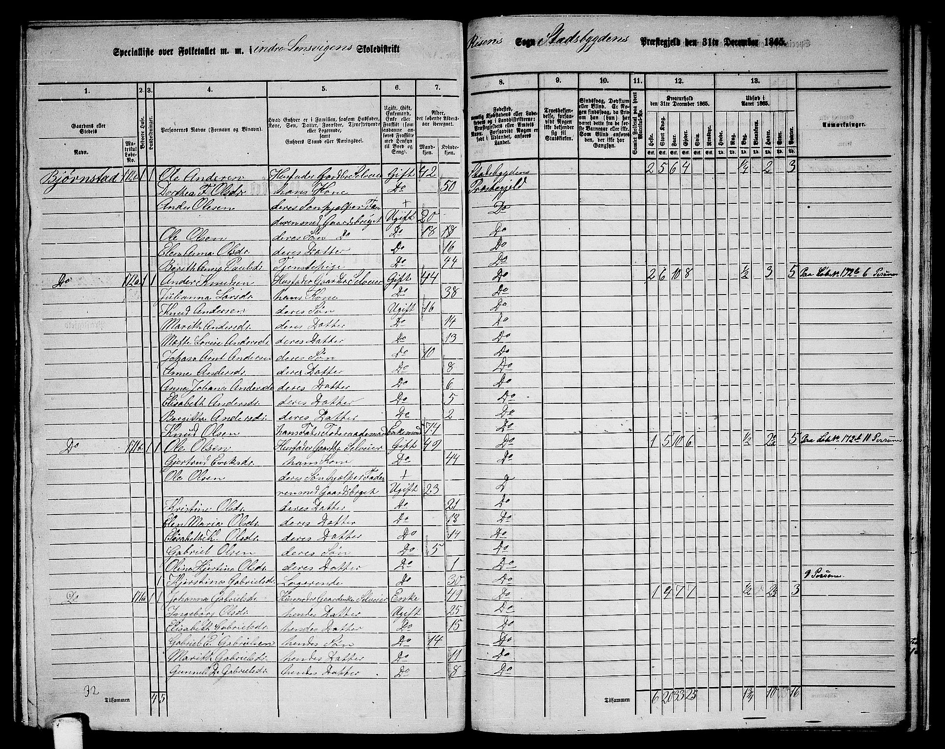 RA, 1865 census for Stadsbygd, 1865, p. 203