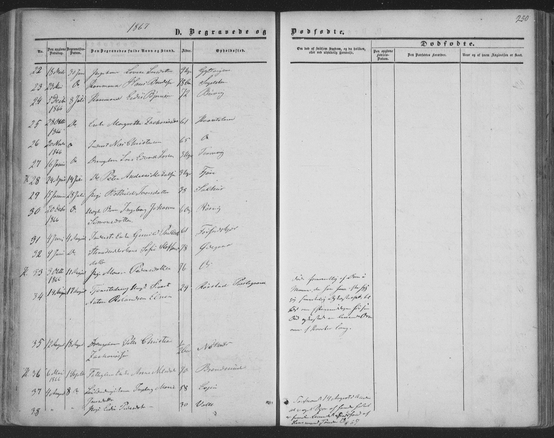 Ministerialprotokoller, klokkerbøker og fødselsregistre - Nordland, AV/SAT-A-1459/853/L0770: Parish register (official) no. 853A09, 1857-1870, p. 250