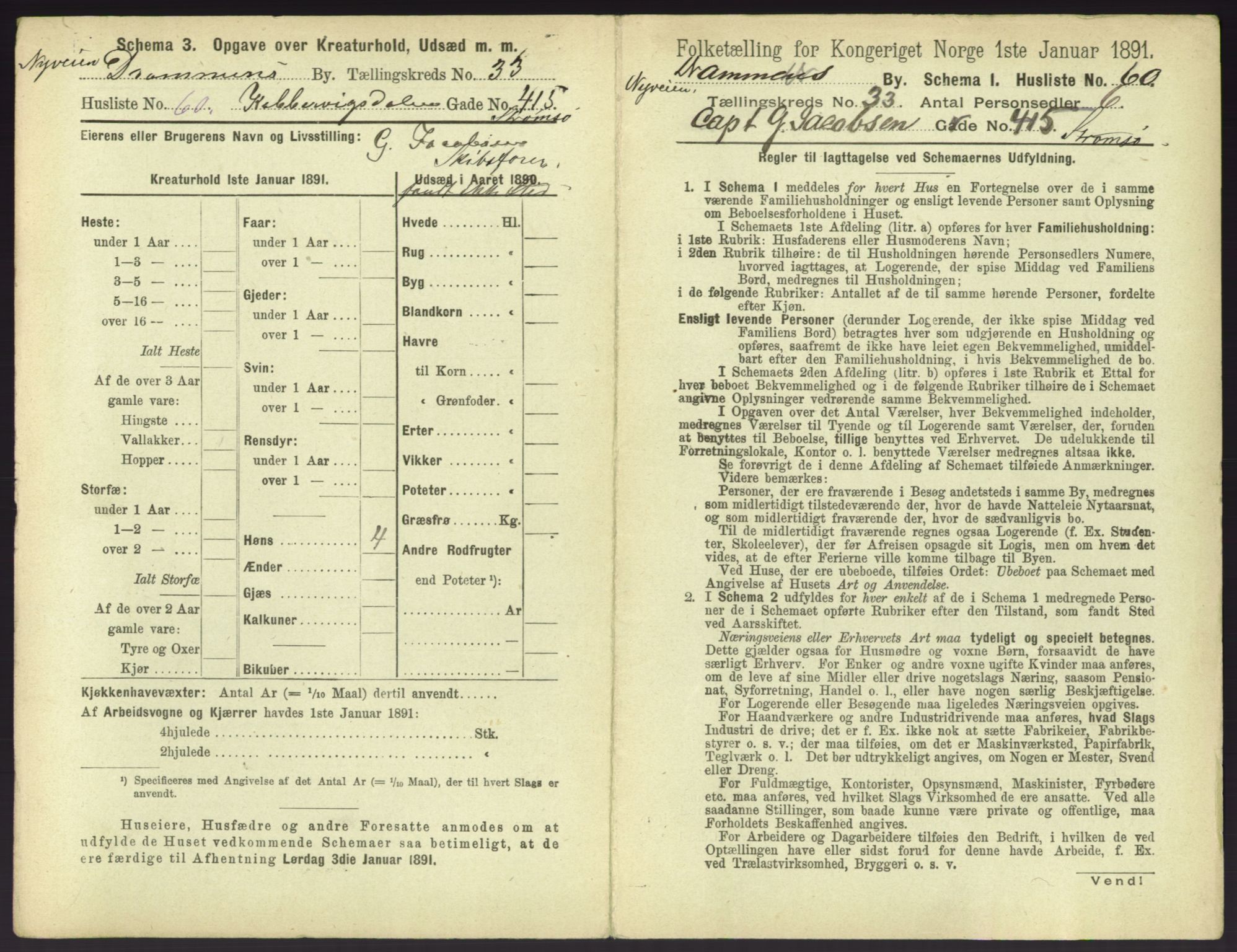 RA, 1891 census for 0602 Drammen, 1891, p. 2989