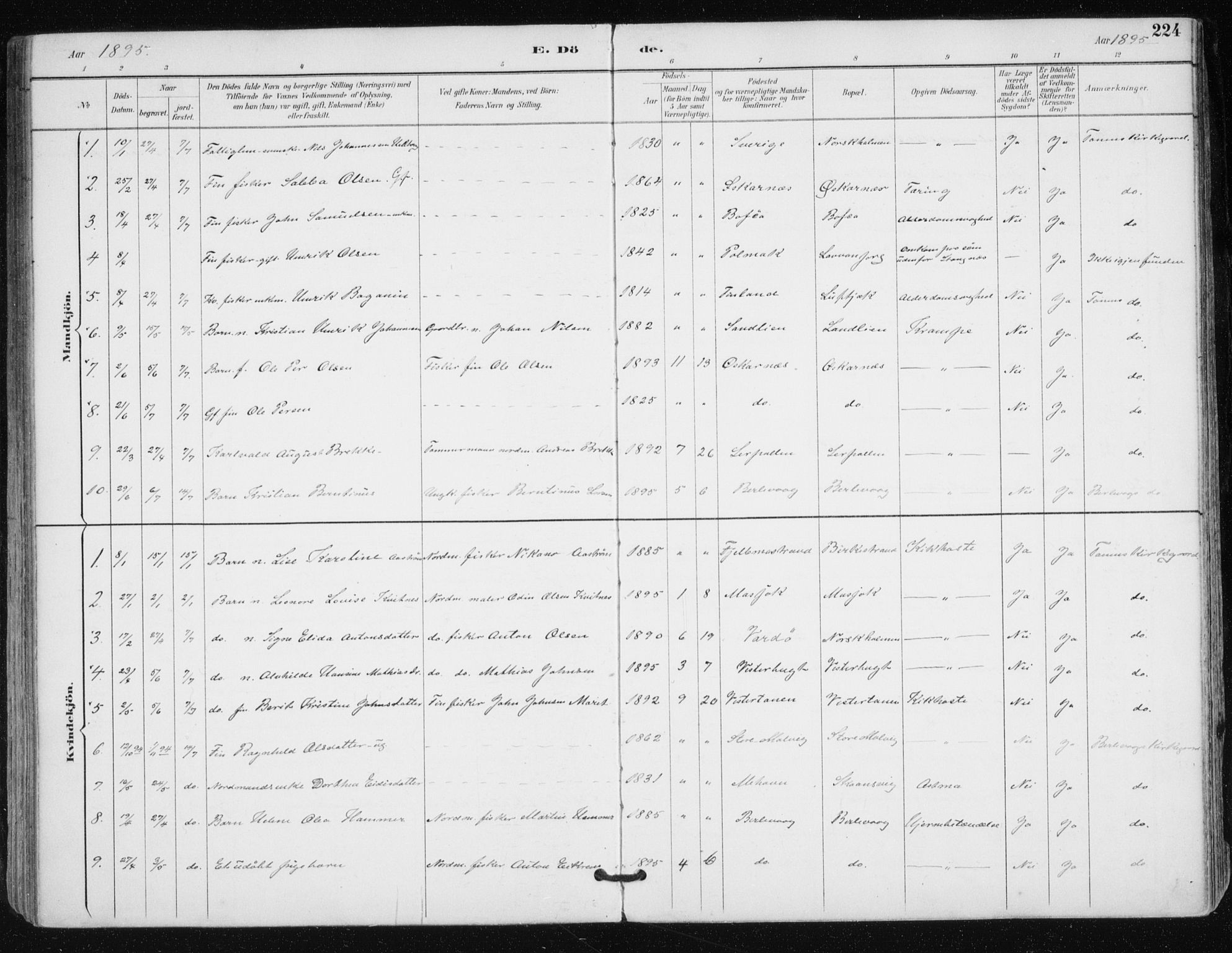 Tana sokneprestkontor, SATØ/S-1334/H/Ha/L0005kirke: Parish register (official) no. 5, 1891-1903, p. 224
