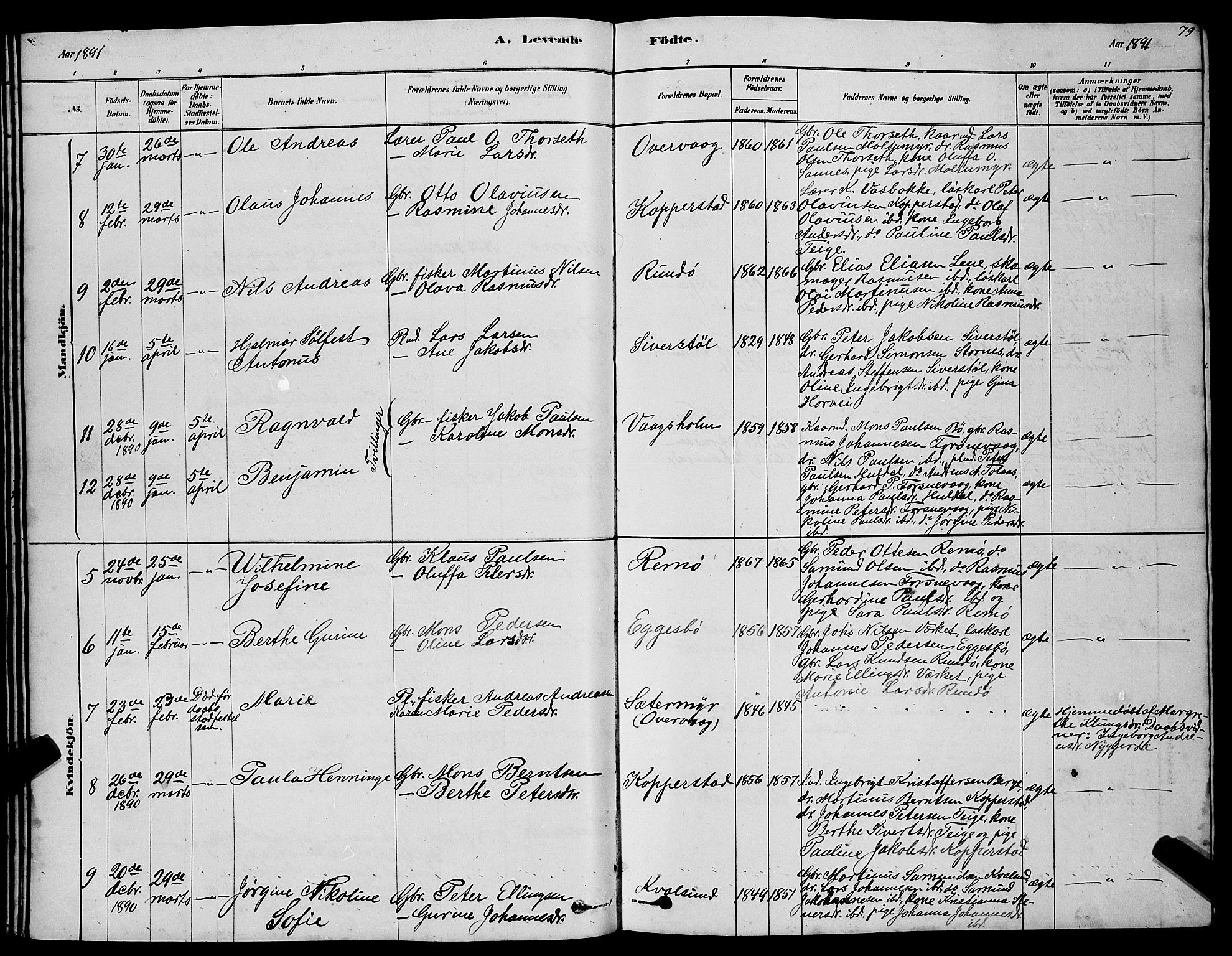 Ministerialprotokoller, klokkerbøker og fødselsregistre - Møre og Romsdal, AV/SAT-A-1454/507/L0081: Parish register (copy) no. 507C04, 1878-1898, p. 79