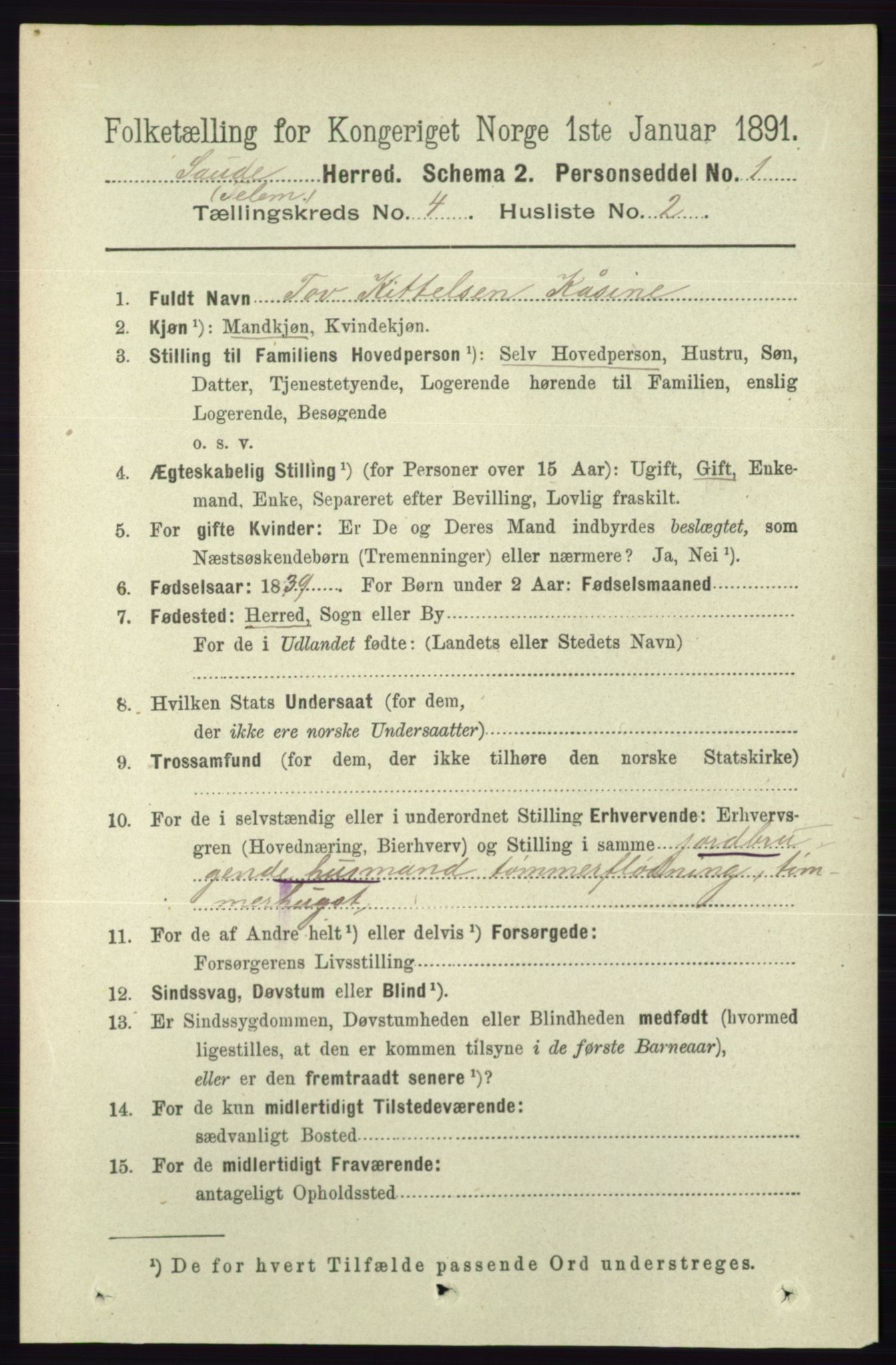 RA, 1891 census for 0822 Sauherad, 1891, p. 1101