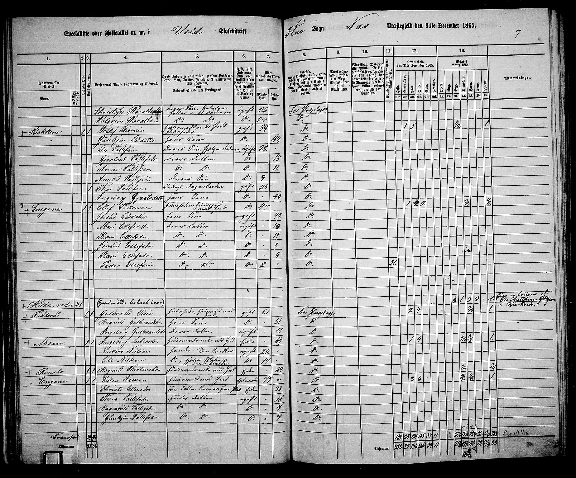 RA, 1865 census for Nes, 1865, p. 50