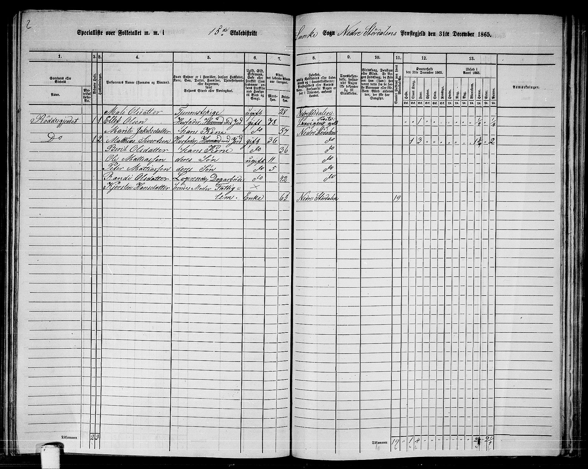 RA, 1865 census for Nedre Stjørdal, 1865, p. 262