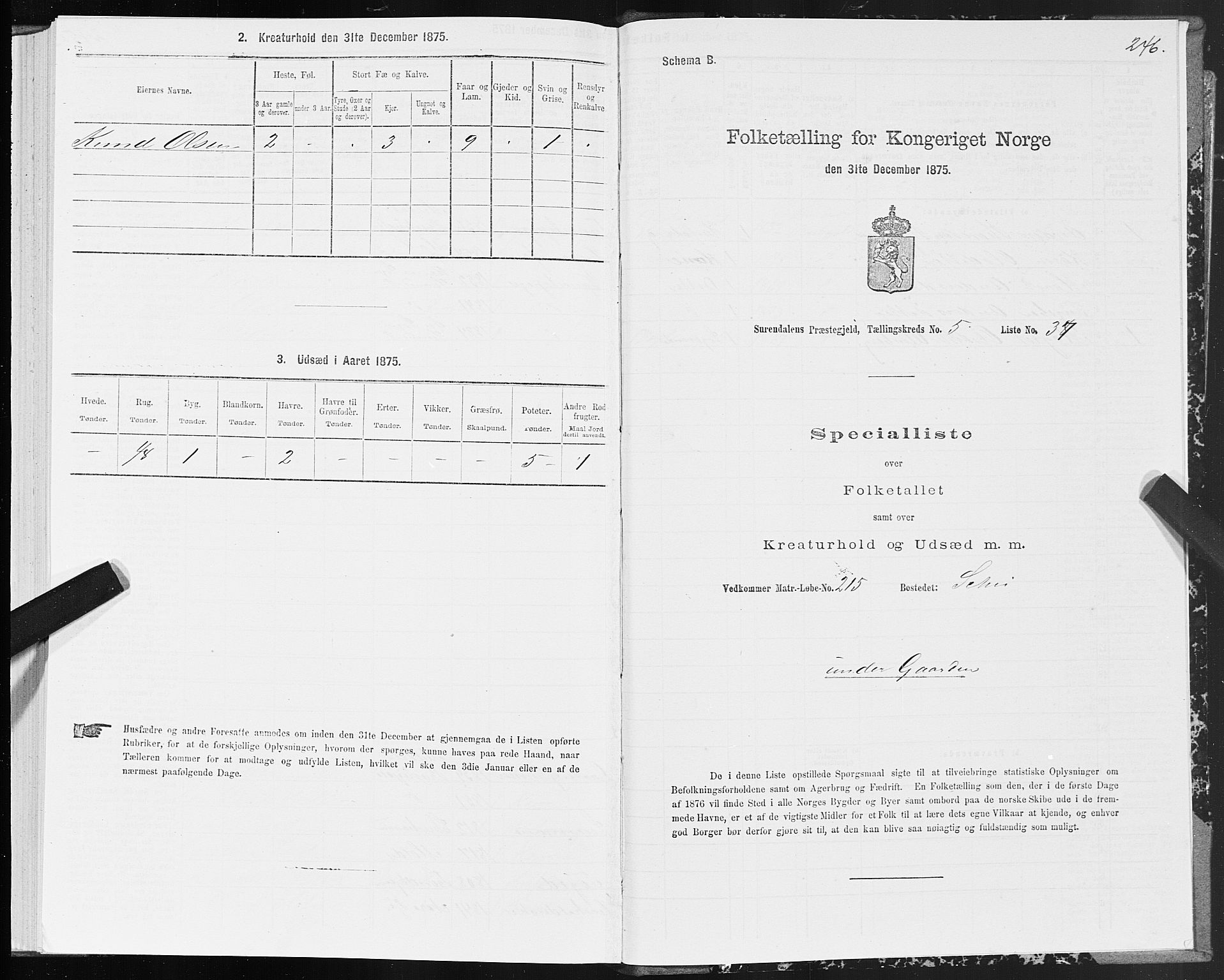 SAT, 1875 census for 1566P Surnadal, 1875, p. 2246