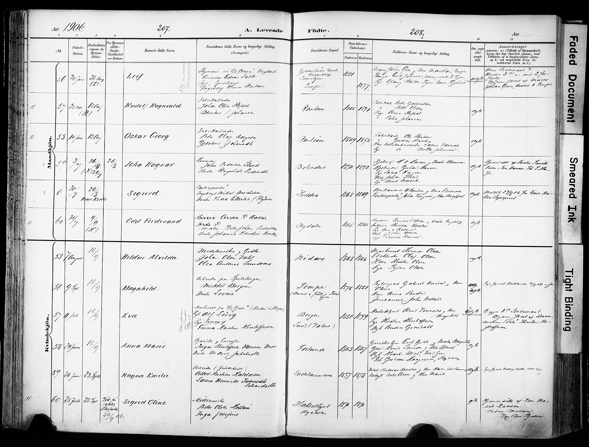 Ministerialprotokoller, klokkerbøker og fødselsregistre - Sør-Trøndelag, AV/SAT-A-1456/606/L0301: Parish register (official) no. 606A16, 1894-1907, p. 207-208