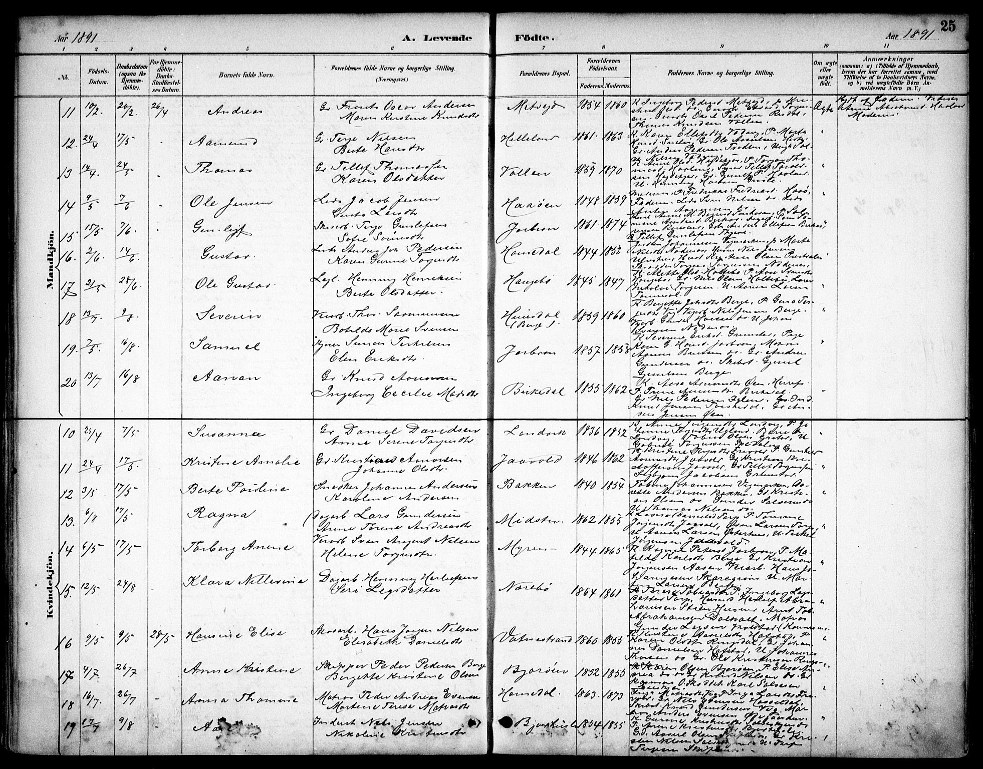 Hommedal sokneprestkontor, AV/SAK-1111-0023/F/Fb/Fbb/L0007: Parish register (copy) no. B 7, 1885-1904, p. 25