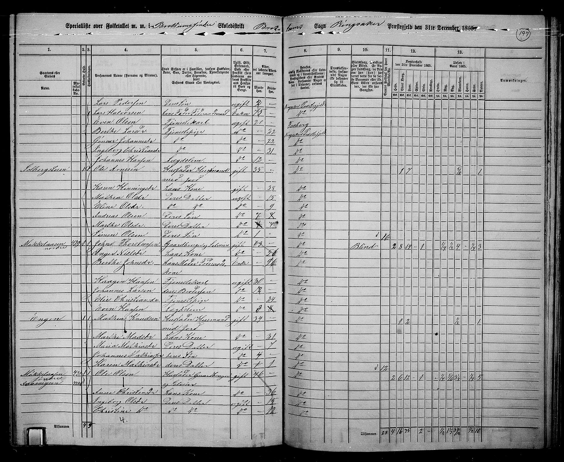 RA, 1865 census for Ringsaker, 1865, p. 439