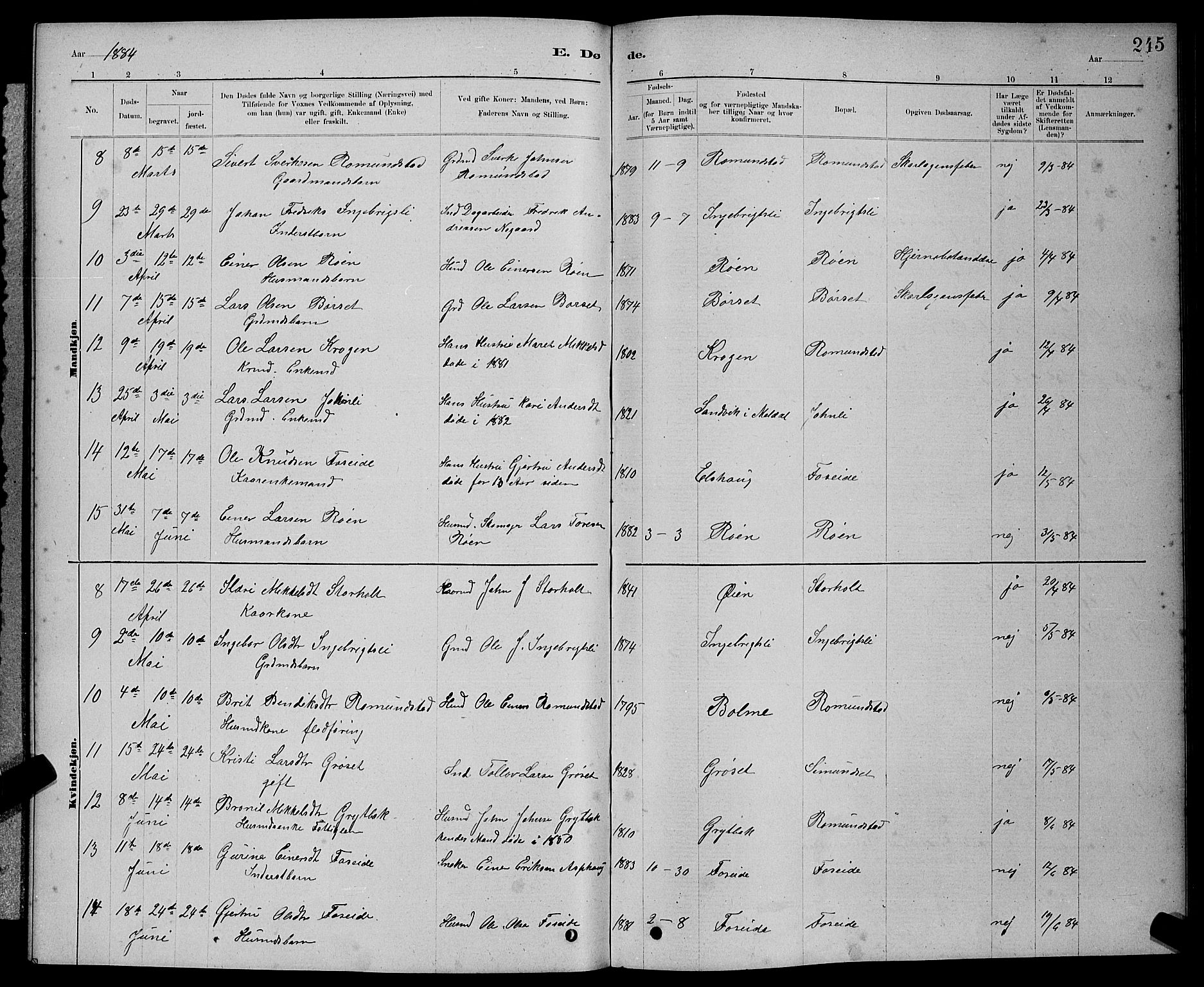 Ministerialprotokoller, klokkerbøker og fødselsregistre - Møre og Romsdal, AV/SAT-A-1454/598/L1077: Parish register (copy) no. 598C02, 1879-1891, p. 245