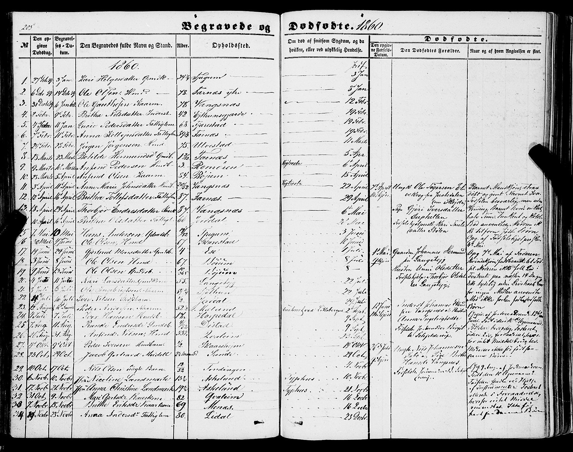 Balestrand sokneprestembete, AV/SAB-A-79601/H/Haa/Haaa/L0002: Parish register (official) no. A 2, 1847-1866, p. 205