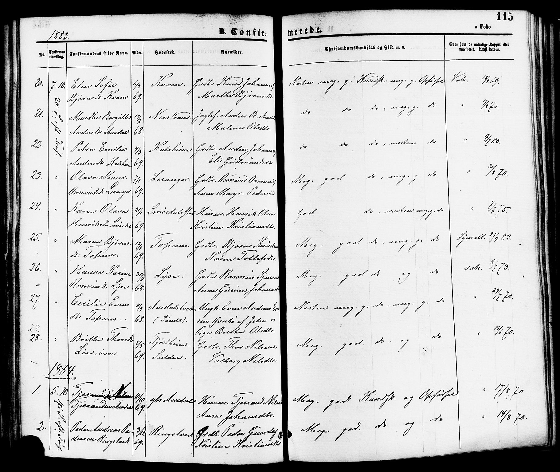 Nedstrand sokneprestkontor, SAST/A-101841/01/IV: Parish register (official) no. A 11, 1877-1887, p. 115