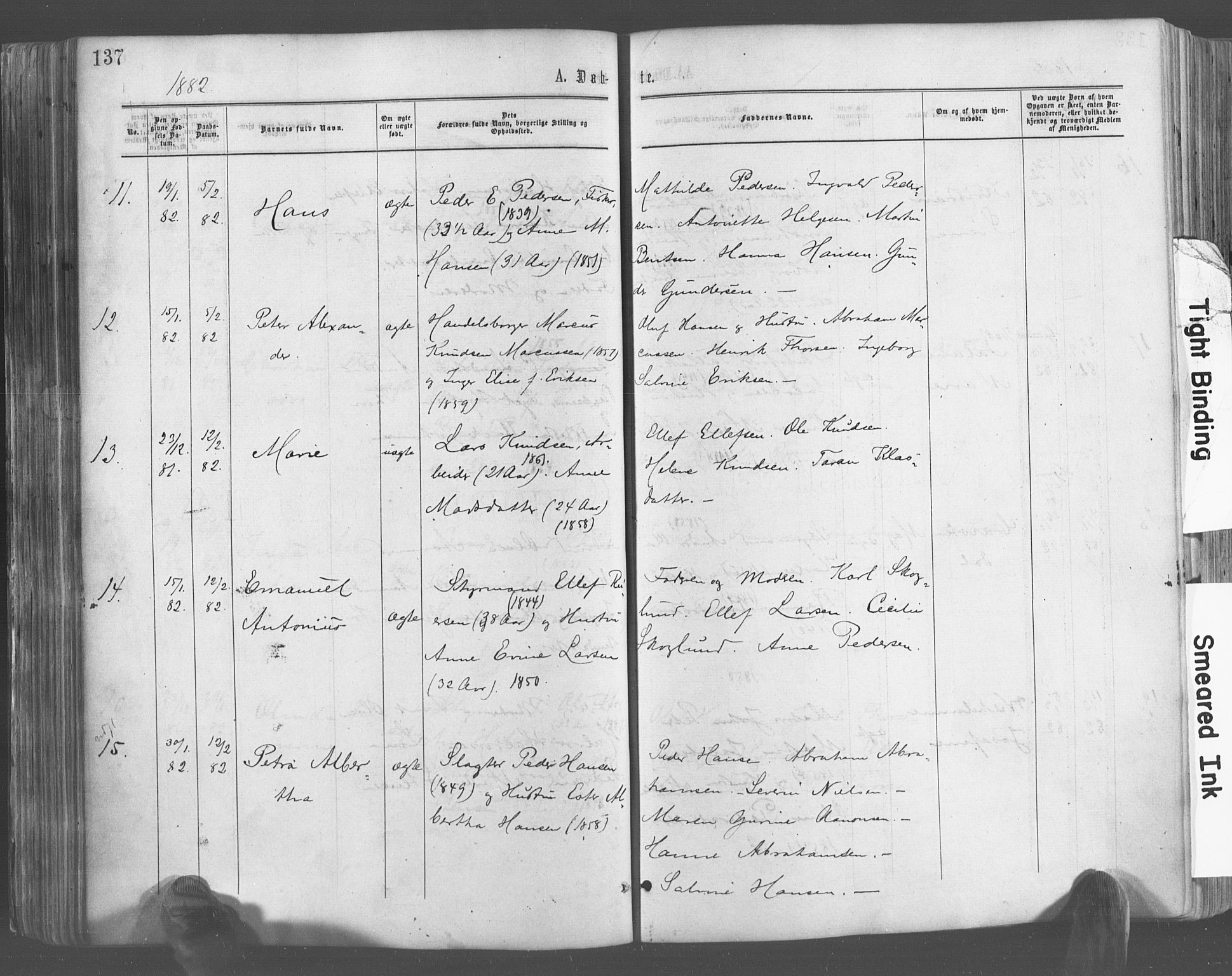 Risør sokneprestkontor, SAK/1111-0035/F/Fa/L0004: Parish register (official) no. A 4, 1865-1882, p. 137