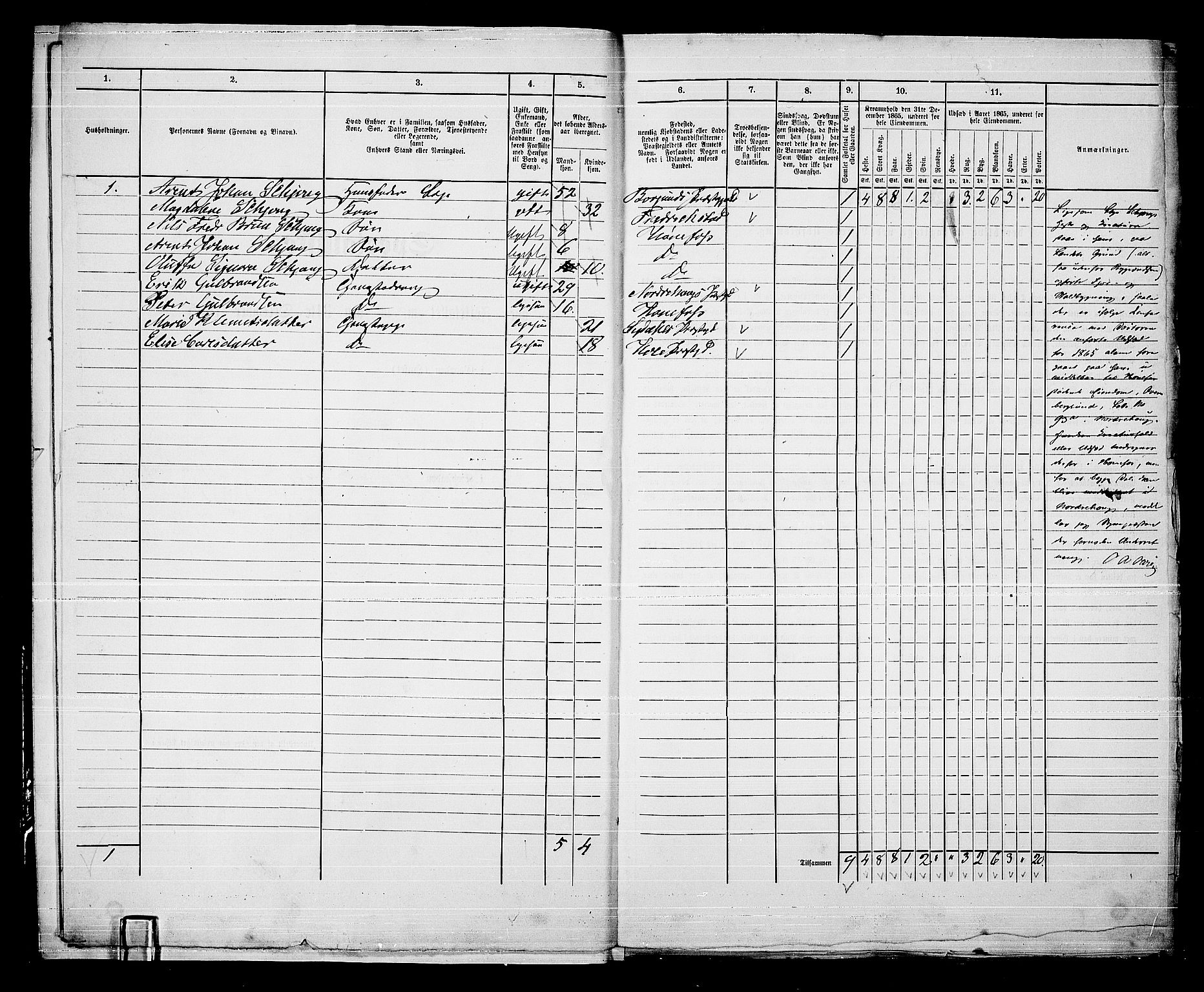 RA, 1865 census for Norderhov/Hønefoss, 1865, p. 11