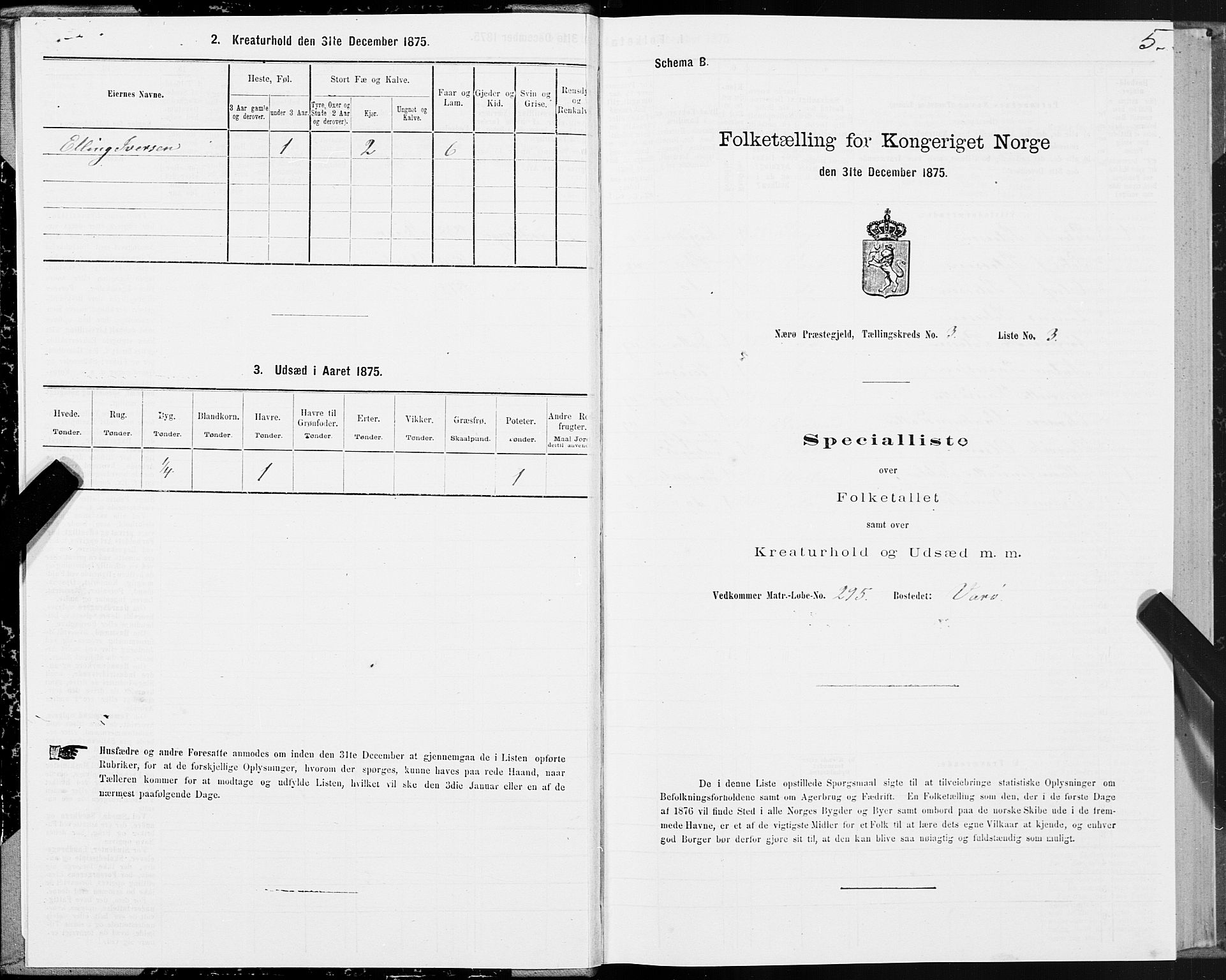 SAT, 1875 census for 1751P Nærøy, 1875, p. 2005