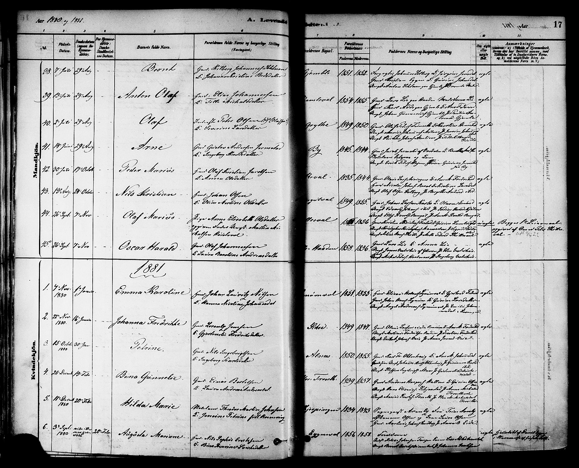 Ministerialprotokoller, klokkerbøker og fødselsregistre - Nord-Trøndelag, SAT/A-1458/717/L0159: Parish register (official) no. 717A09, 1878-1898, p. 17