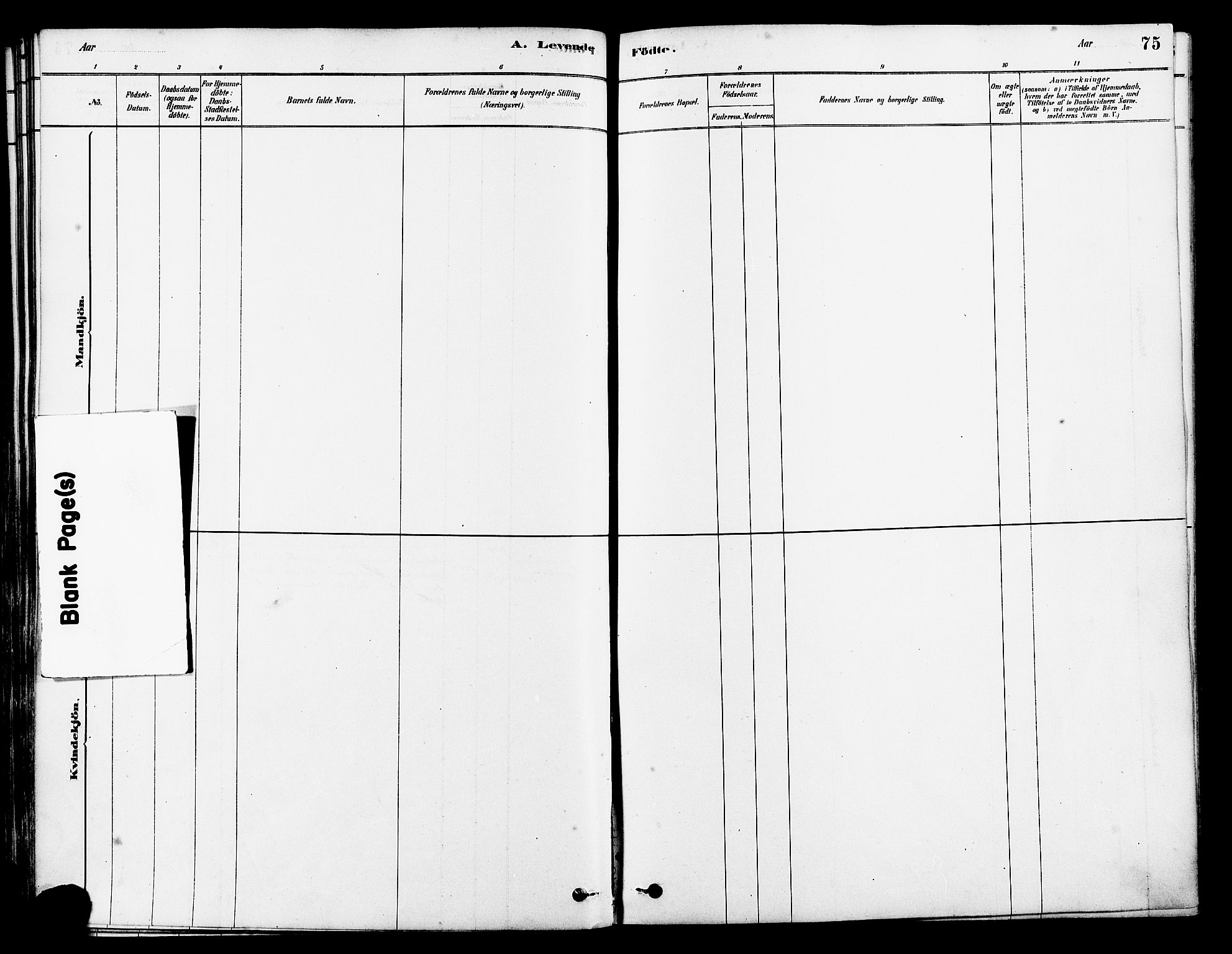 Tysvær sokneprestkontor, SAST/A -101864/H/Ha/Haa/L0006: Parish register (official) no. A 6, 1878-1896, p. 75