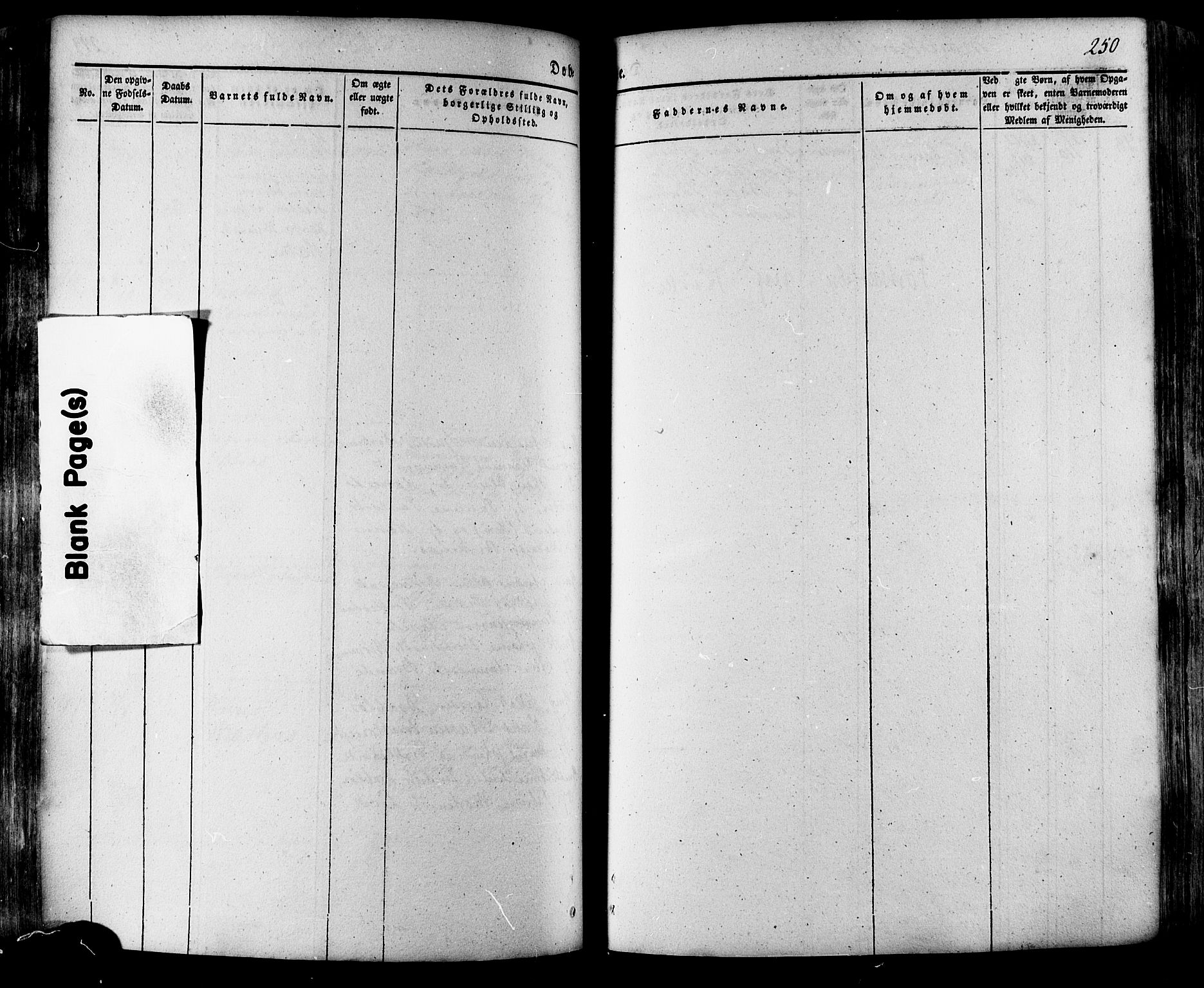 Ministerialprotokoller, klokkerbøker og fødselsregistre - Møre og Romsdal, SAT/A-1454/511/L0140: Parish register (official) no. 511A07, 1851-1878, p. 250