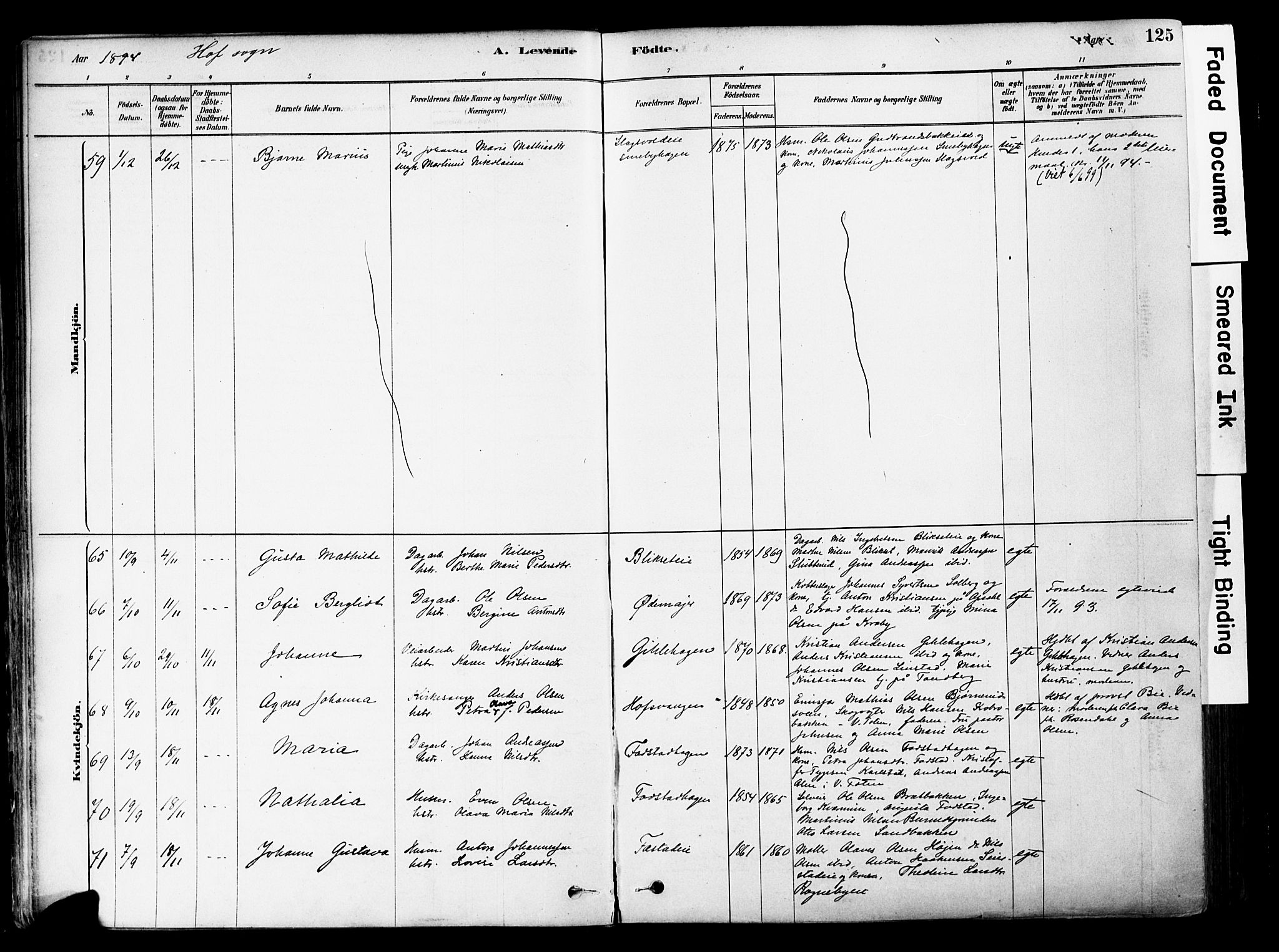 Østre Toten prestekontor, AV/SAH-PREST-104/H/Ha/Haa/L0006: Parish register (official) no. 6 /1, 1878-1896, p. 125