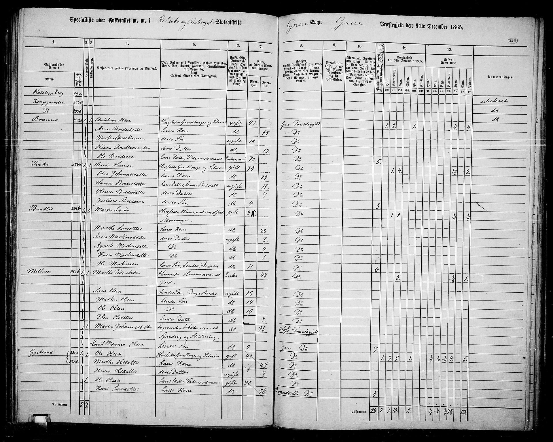 RA, 1865 census for Grue, 1865, p. 271