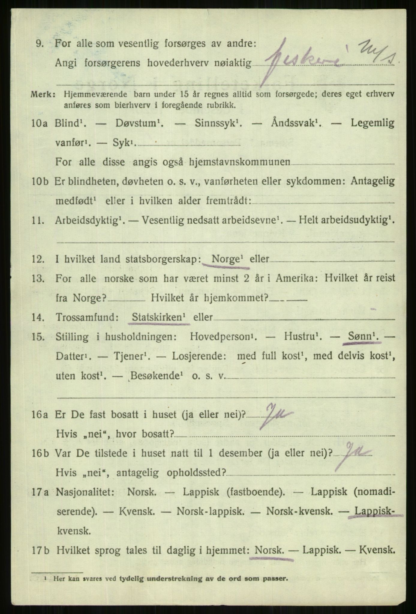 SATØ, 1920 census for Lyngen, 1920, p. 10064