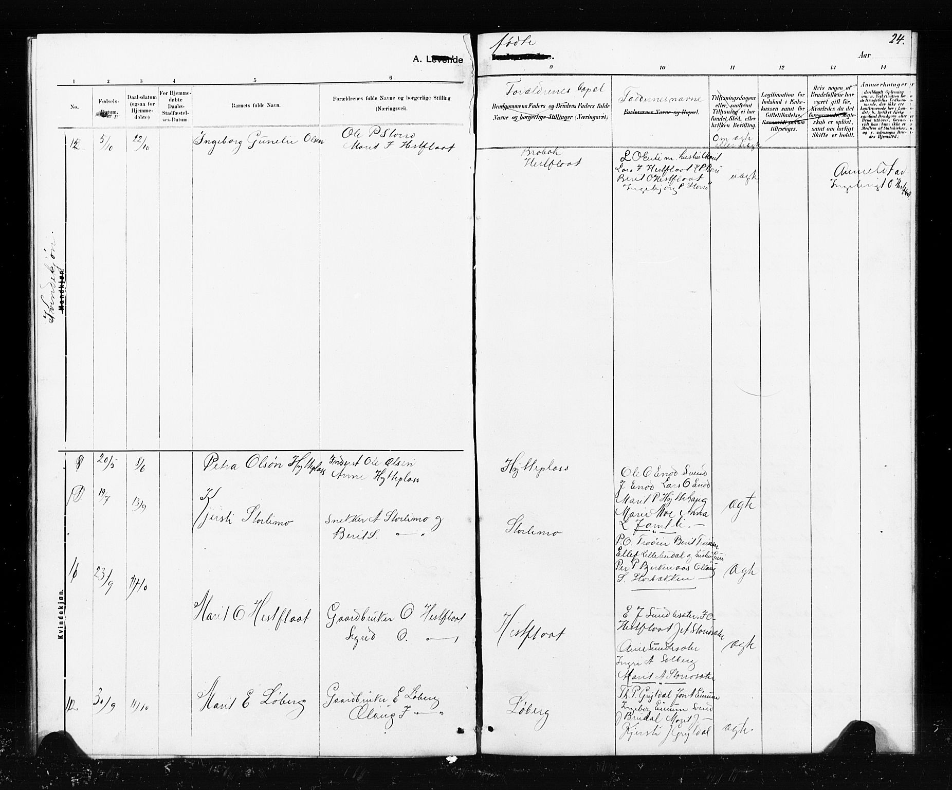 Ministerialprotokoller, klokkerbøker og fødselsregistre - Sør-Trøndelag, SAT/A-1456/690/L1051: Parish register (copy) no. 690C01, 1887-1908, p. 24