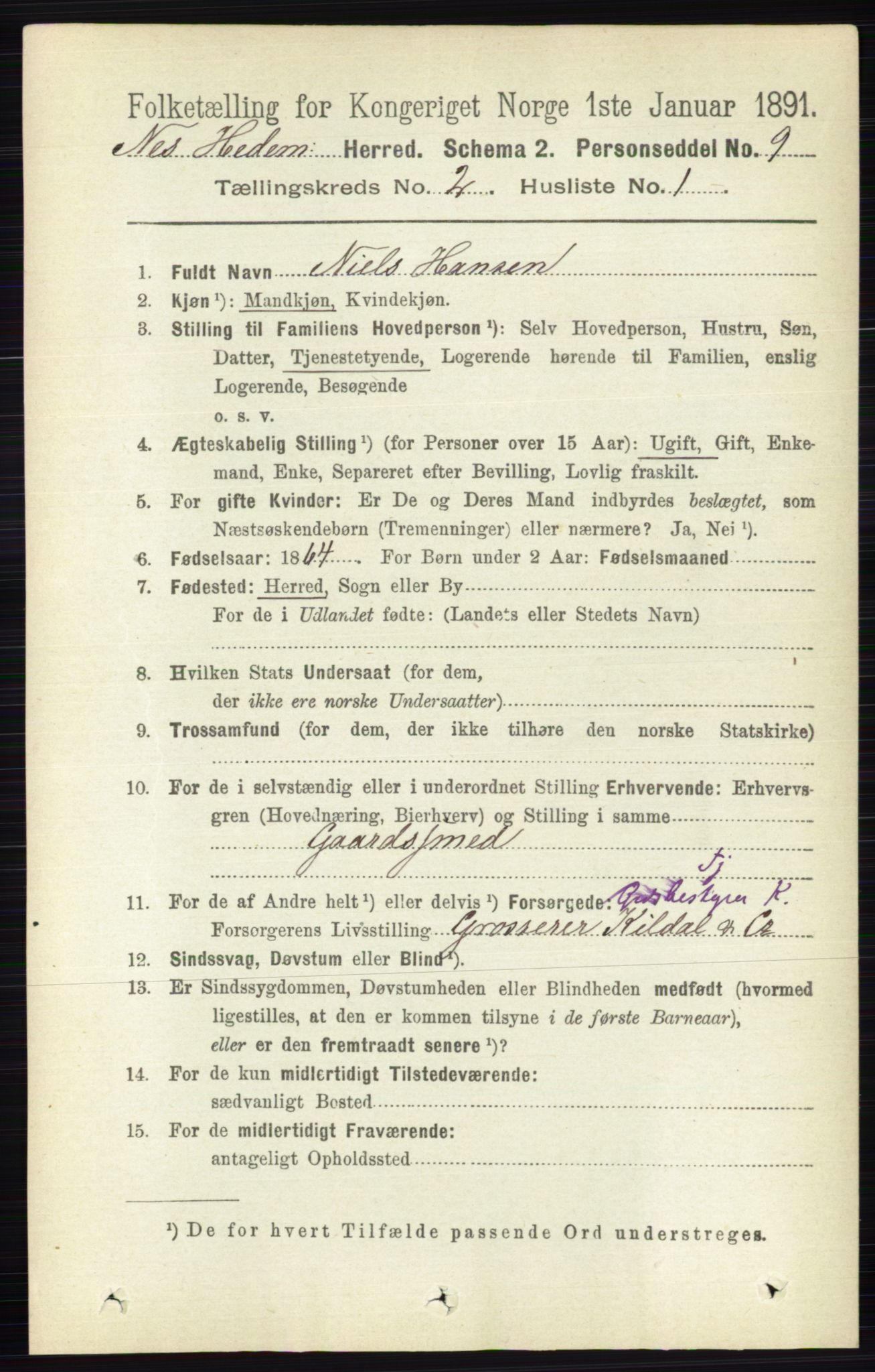 RA, 1891 census for 0411 Nes, 1891, p. 1080