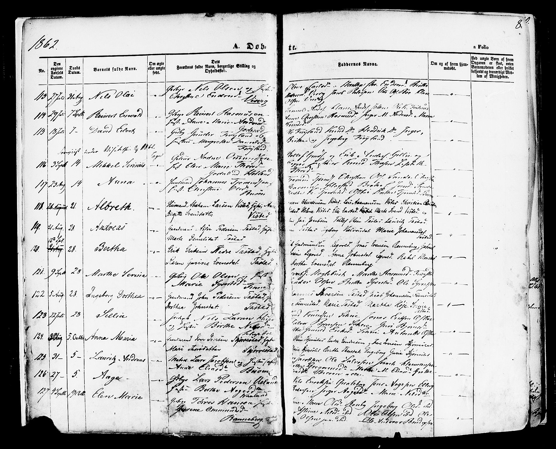 Hetland sokneprestkontor, SAST/A-101826/30/30BA/L0003: Parish register (official) no. A 3, 1862-1876, p. 8