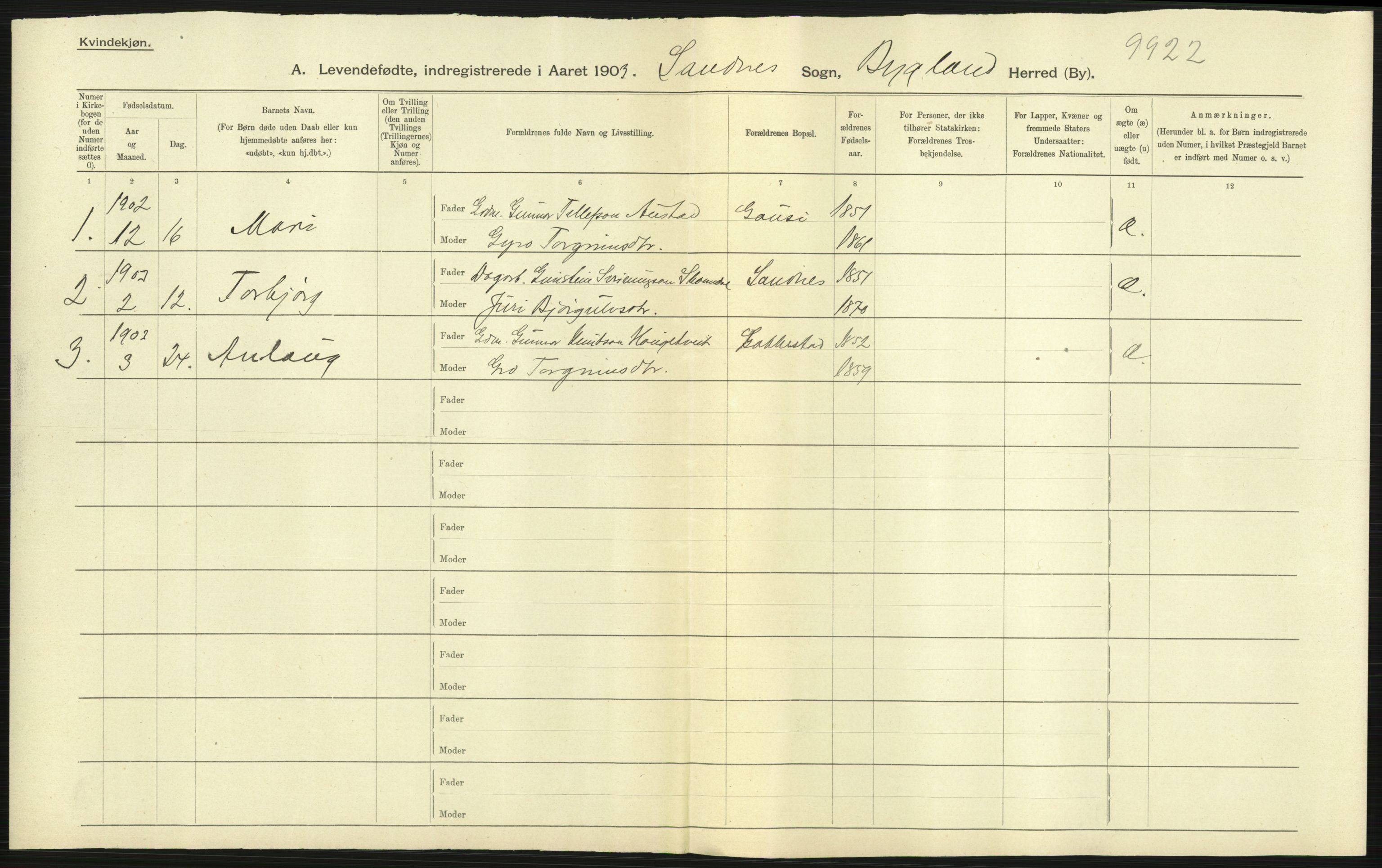 Statistisk sentralbyrå, Sosiodemografiske emner, Befolkning, AV/RA-S-2228/D/Df/Dfa/Dfaa/L0010: Nedenes amt: Fødte, gifte, døde, 1903, p. 81