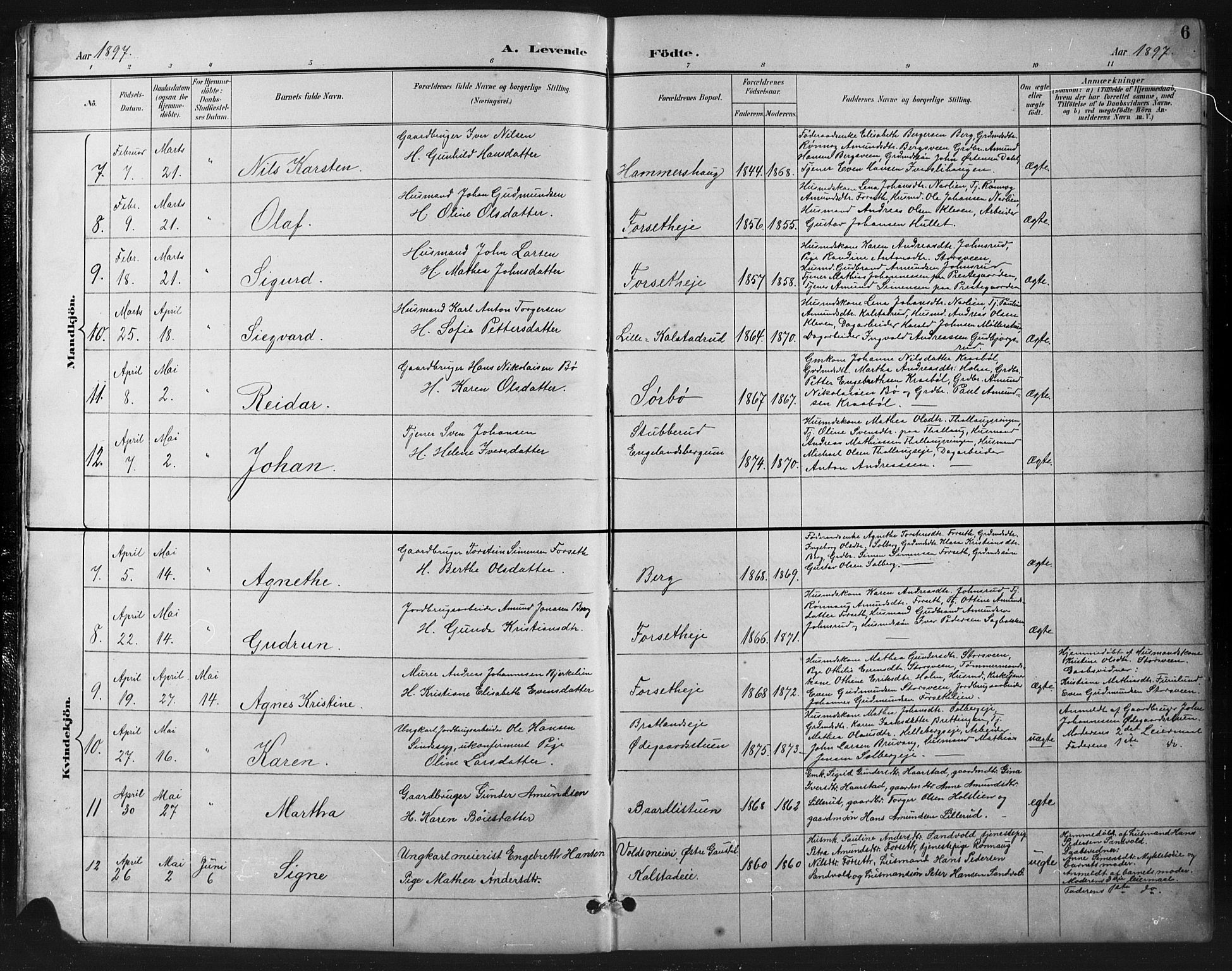 Vestre Gausdal prestekontor, SAH/PREST-094/H/Ha/Hab/L0003: Parish register (copy) no. 3, 1896-1925, p. 6