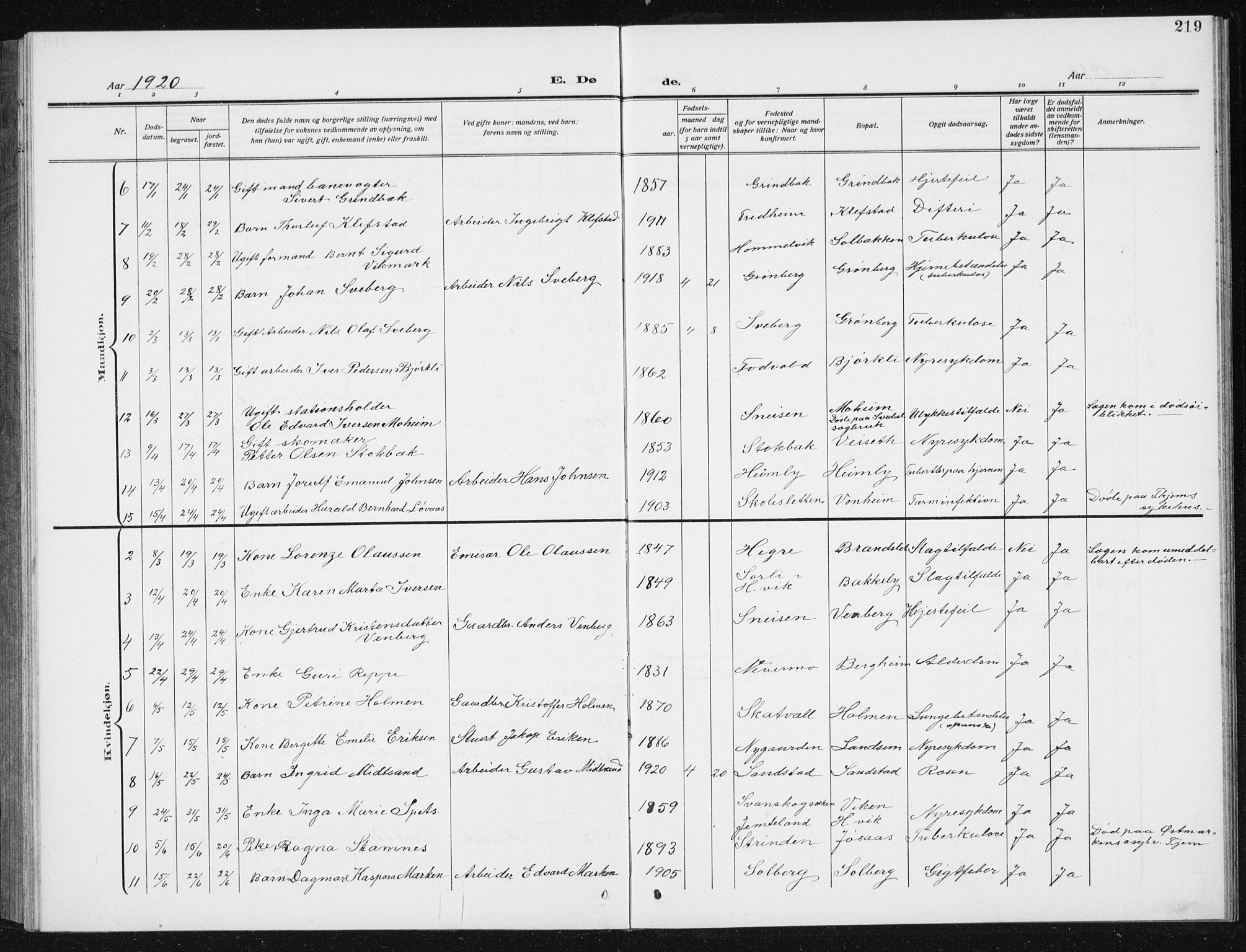 Ministerialprotokoller, klokkerbøker og fødselsregistre - Sør-Trøndelag, SAT/A-1456/617/L0431: Parish register (copy) no. 617C02, 1910-1936, p. 219