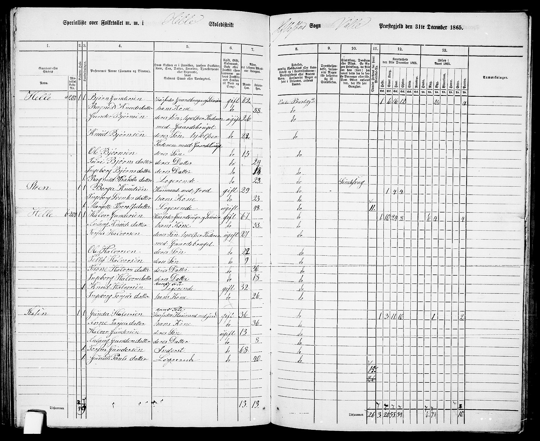RA, 1865 census for Valle, 1865, p. 135