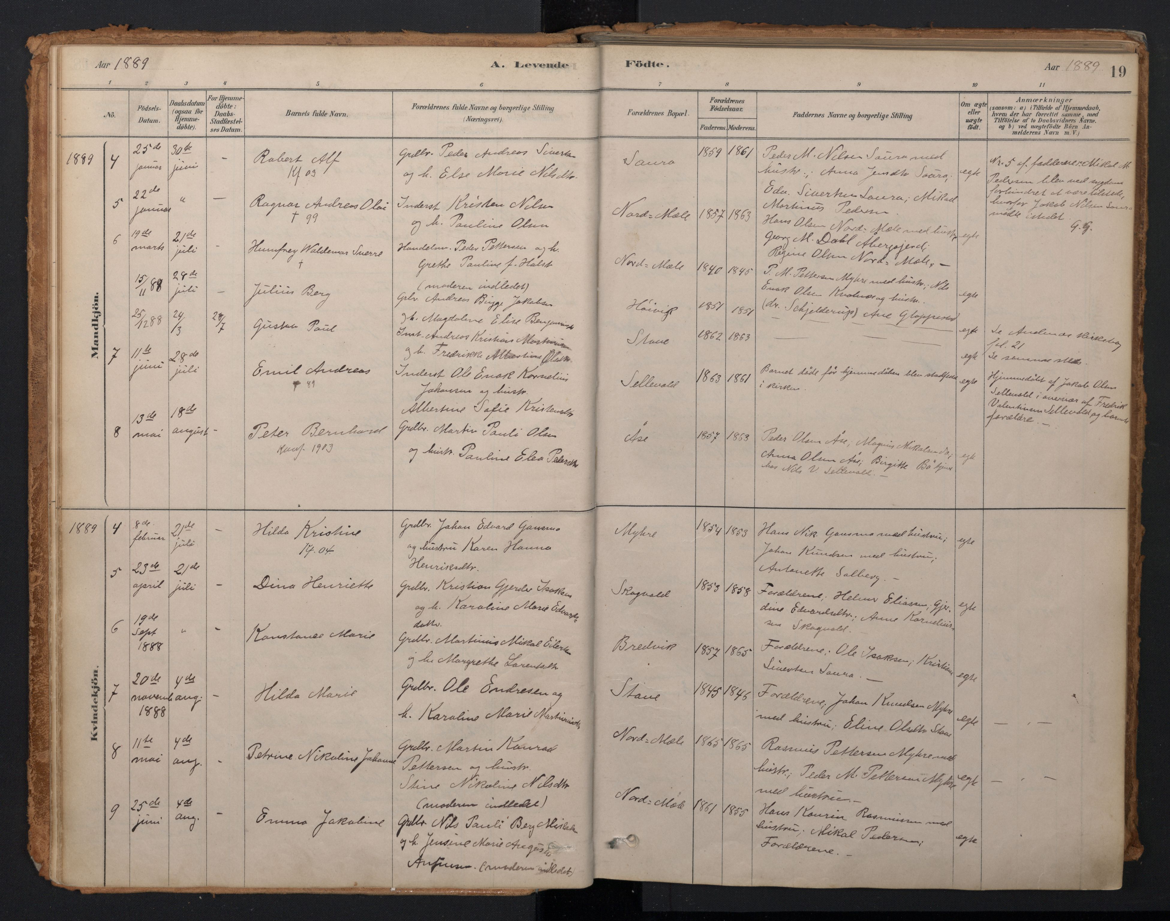 Ministerialprotokoller, klokkerbøker og fødselsregistre - Nordland, AV/SAT-A-1459/897/L1399: Parish register (official) no. 897A06, 1881-1896, p. 19