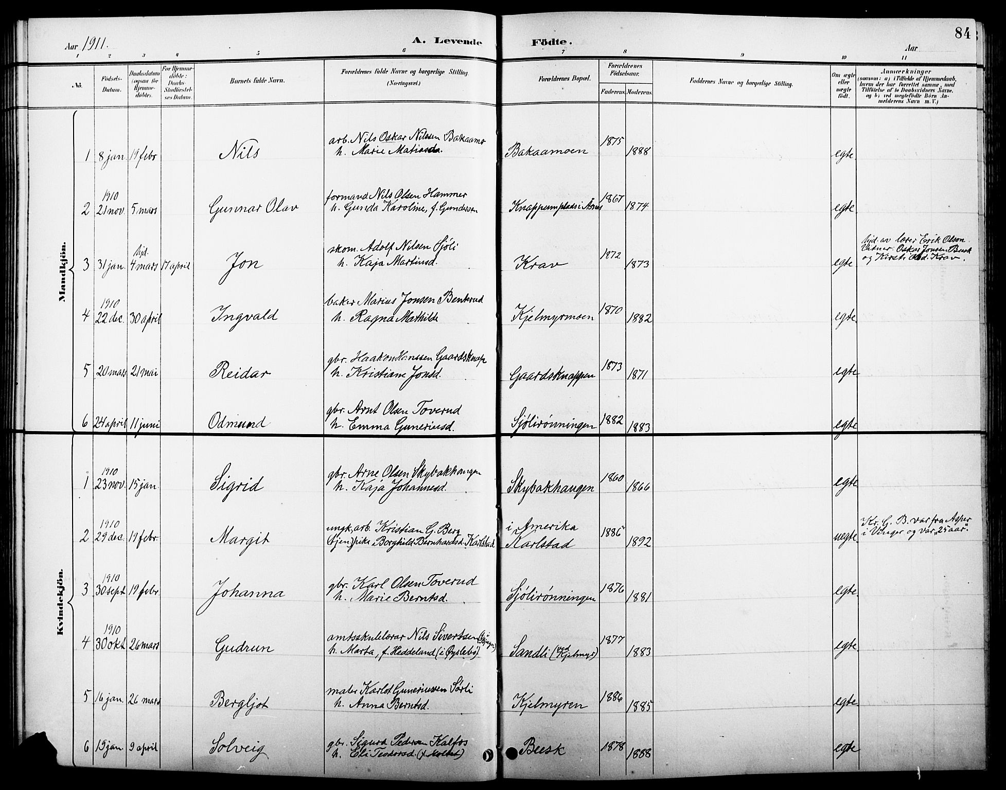 Åsnes prestekontor, AV/SAH-PREST-042/H/Ha/Hab/L0005: Parish register (copy) no. 5, 1895-1920, p. 84