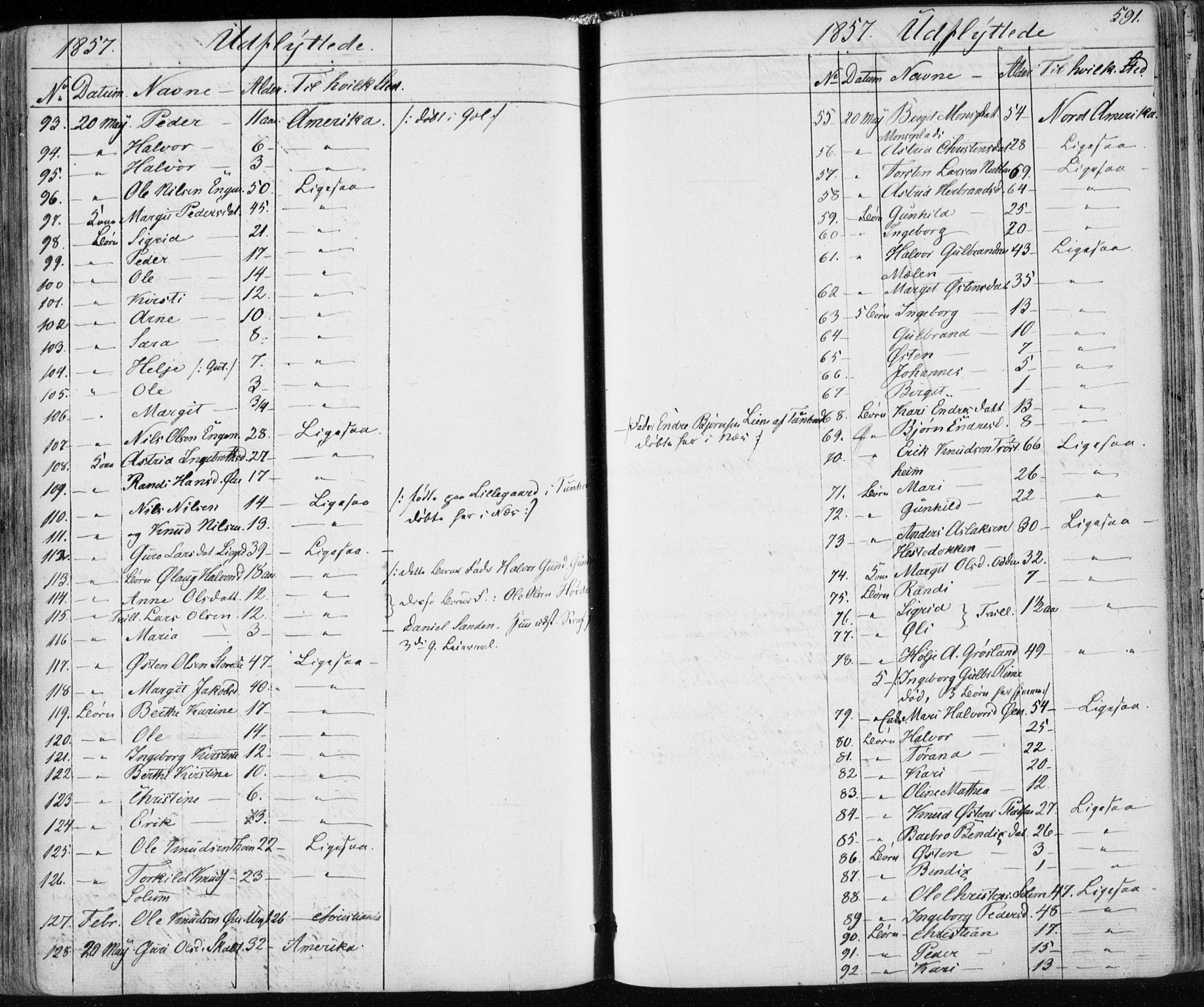 Nes kirkebøker, AV/SAKO-A-236/F/Fa/L0009: Parish register (official) no. 9, 1834-1863, p. 591