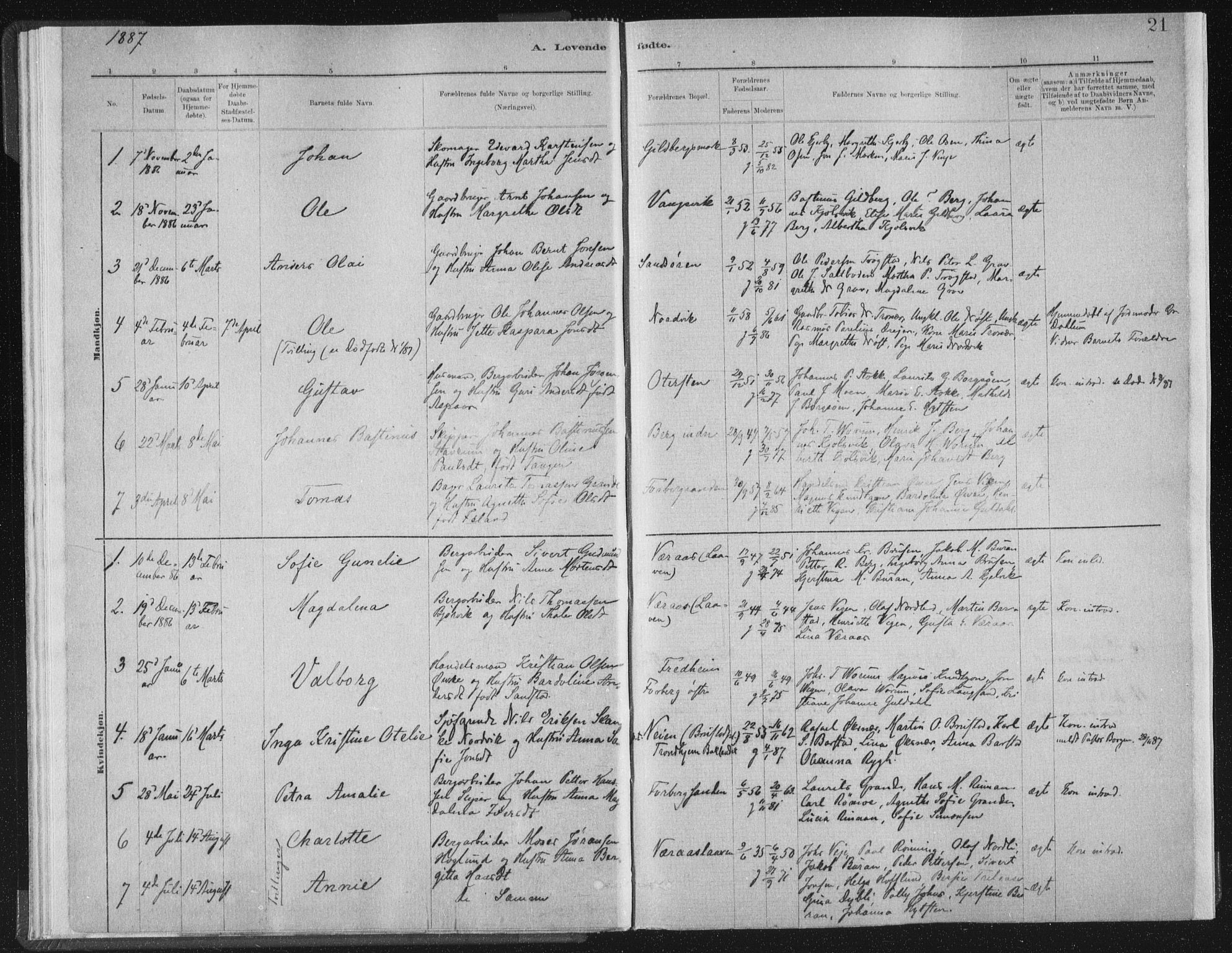 Ministerialprotokoller, klokkerbøker og fødselsregistre - Nord-Trøndelag, AV/SAT-A-1458/722/L0220: Parish register (official) no. 722A07, 1881-1908, p. 21