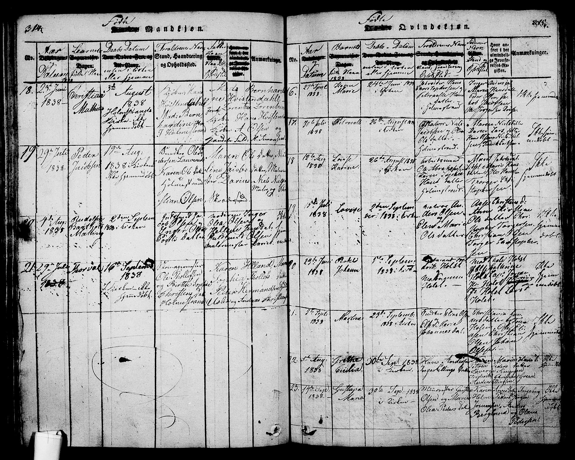 Holmestrand kirkebøker, SAKO/A-346/G/Ga/L0001: Parish register (copy) no. 1, 1814-1848, p. 314-315