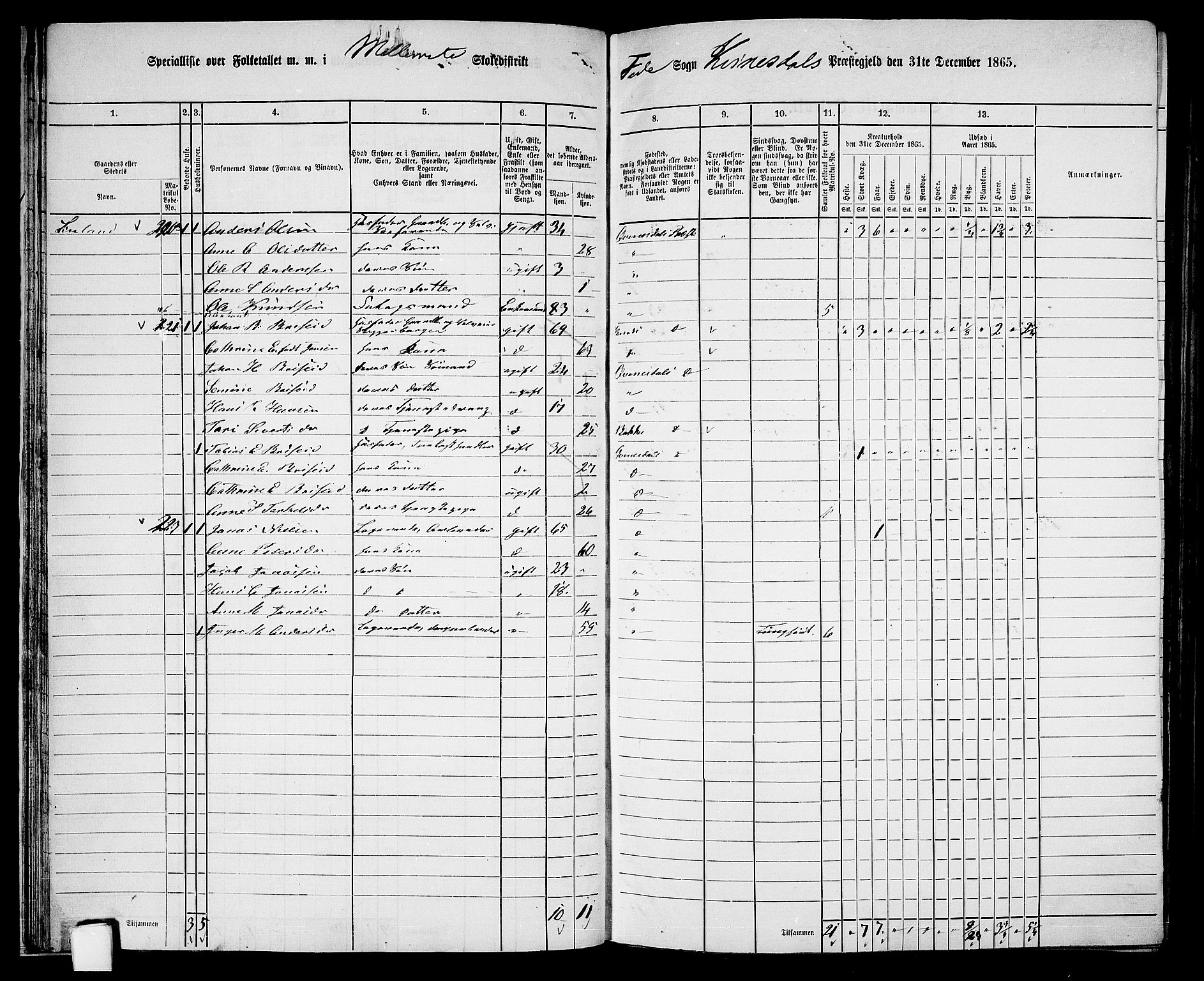 RA, 1865 census for Kvinesdal, 1865, p. 42