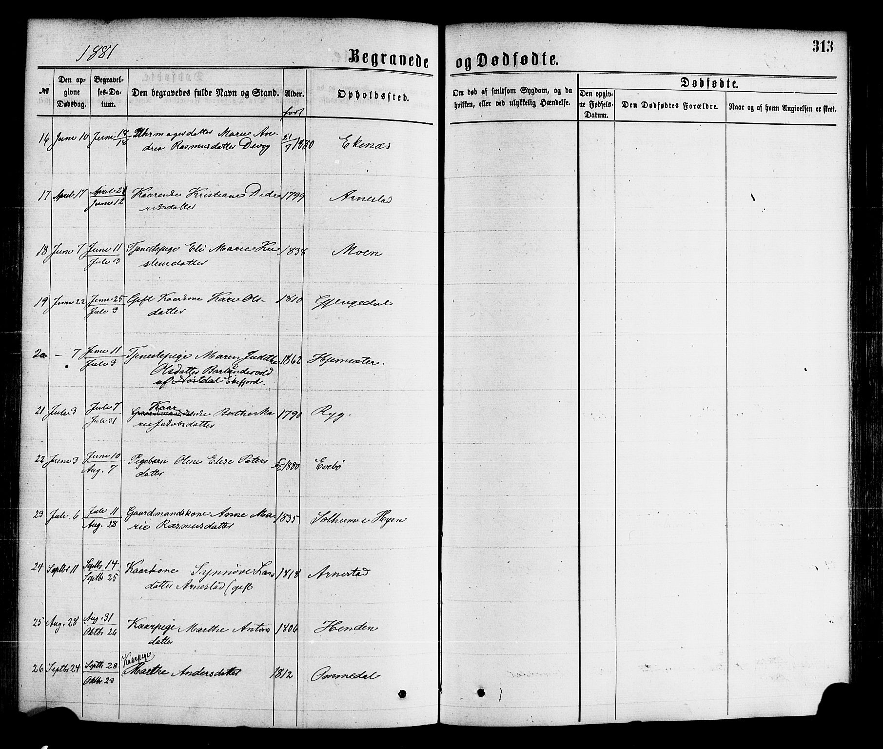 Gloppen sokneprestembete, SAB/A-80101/H/Haa/Haaa/L0010: Parish register (official) no. A 10, 1871-1884, p. 313