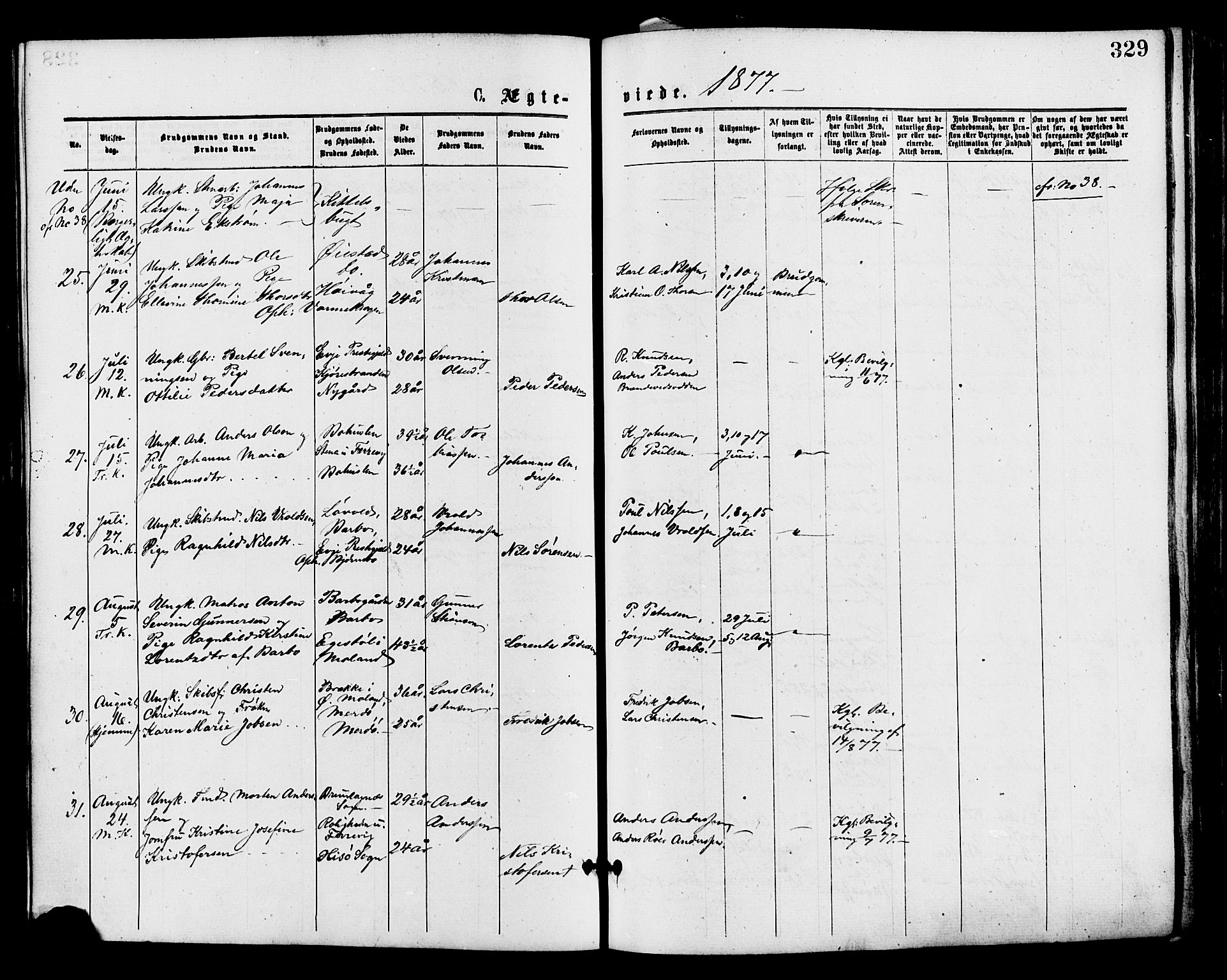 Barbu sokneprestkontor, AV/SAK-1111-0003/F/Fa/L0001: Parish register (official) no. A 1 /2, 1877-1877, p. 329