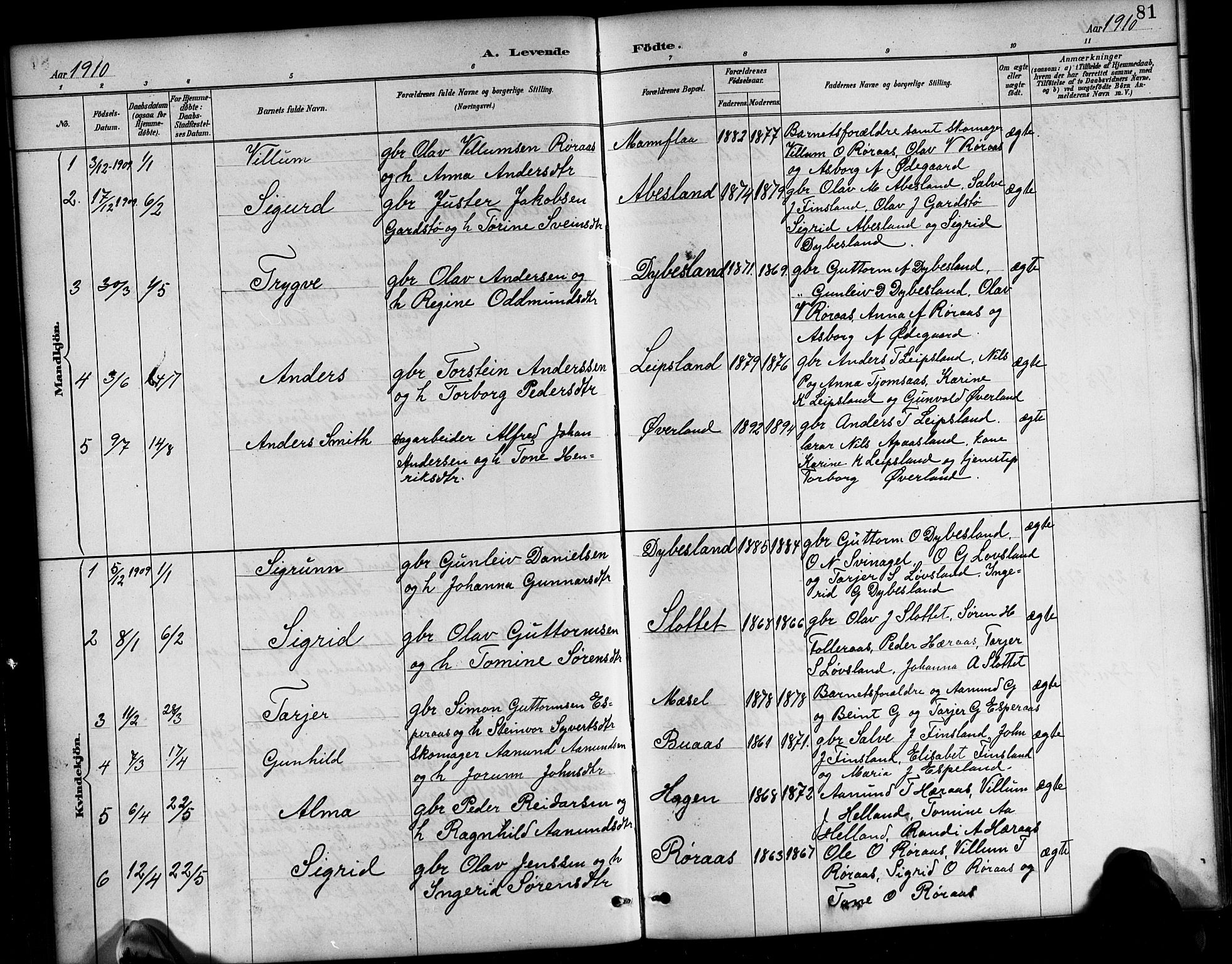 Bjelland sokneprestkontor, SAK/1111-0005/F/Fb/Fbb/L0005: Parish register (copy) no. B 5, 1887-1918, p. 81