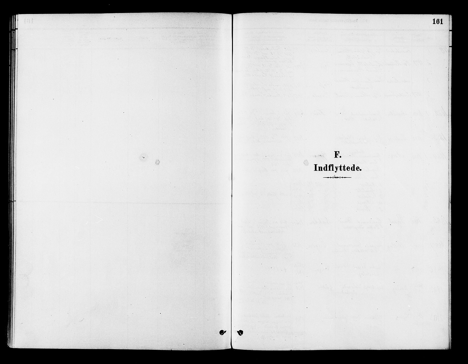 Flesberg kirkebøker, SAKO/A-18/F/Fb/L0001: Parish register (official) no. II 1, 1879-1907, p. 161