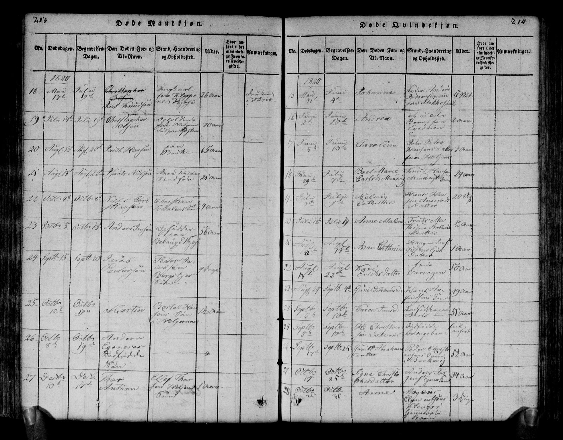 Brunlanes kirkebøker, SAKO/A-342/G/Ga/L0001: Parish register (copy) no. I 1, 1814-1834, p. 213-214