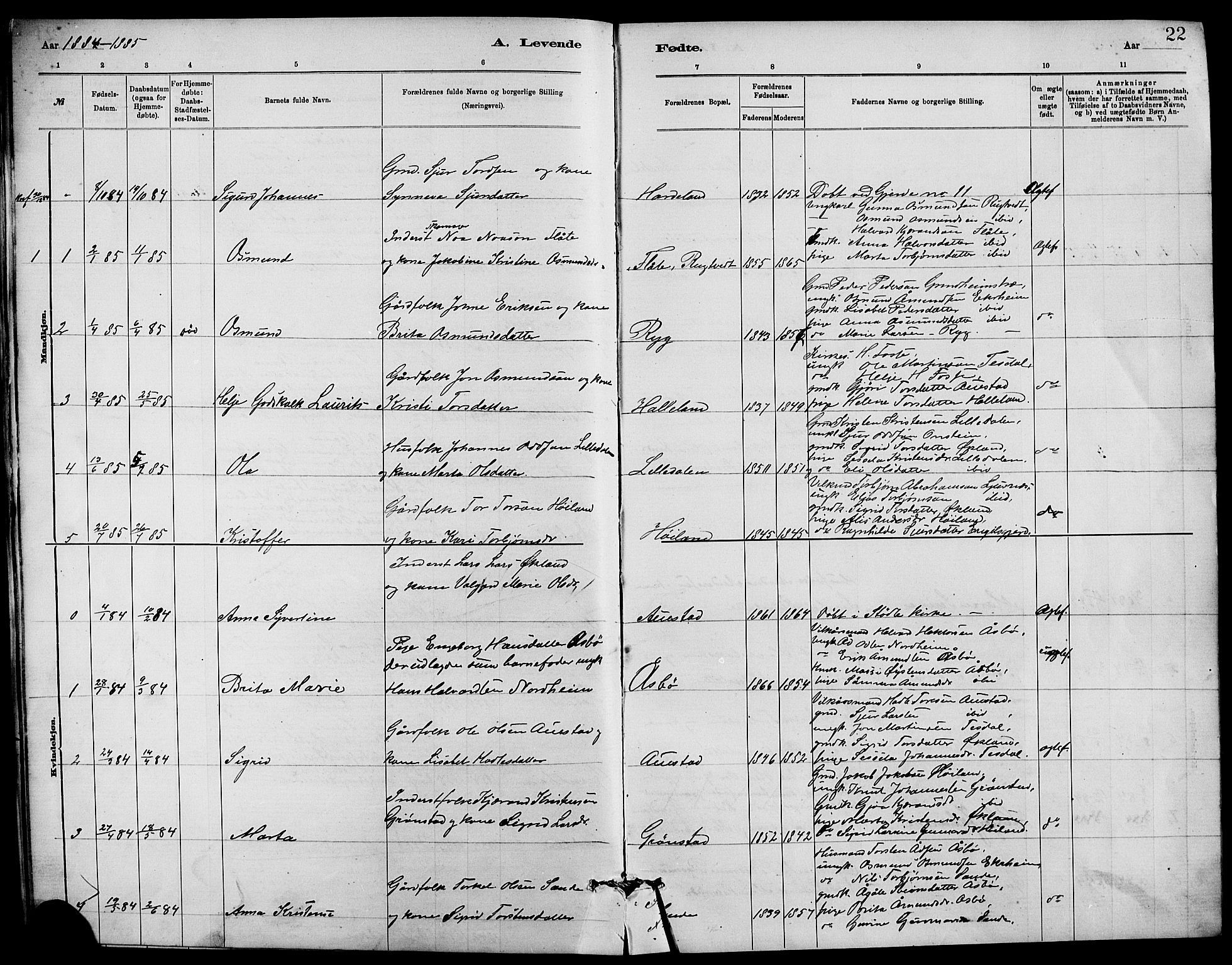 Etne sokneprestembete, SAB/A-75001/H/Hab: Parish register (copy) no. C 4, 1879-1896, p. 22