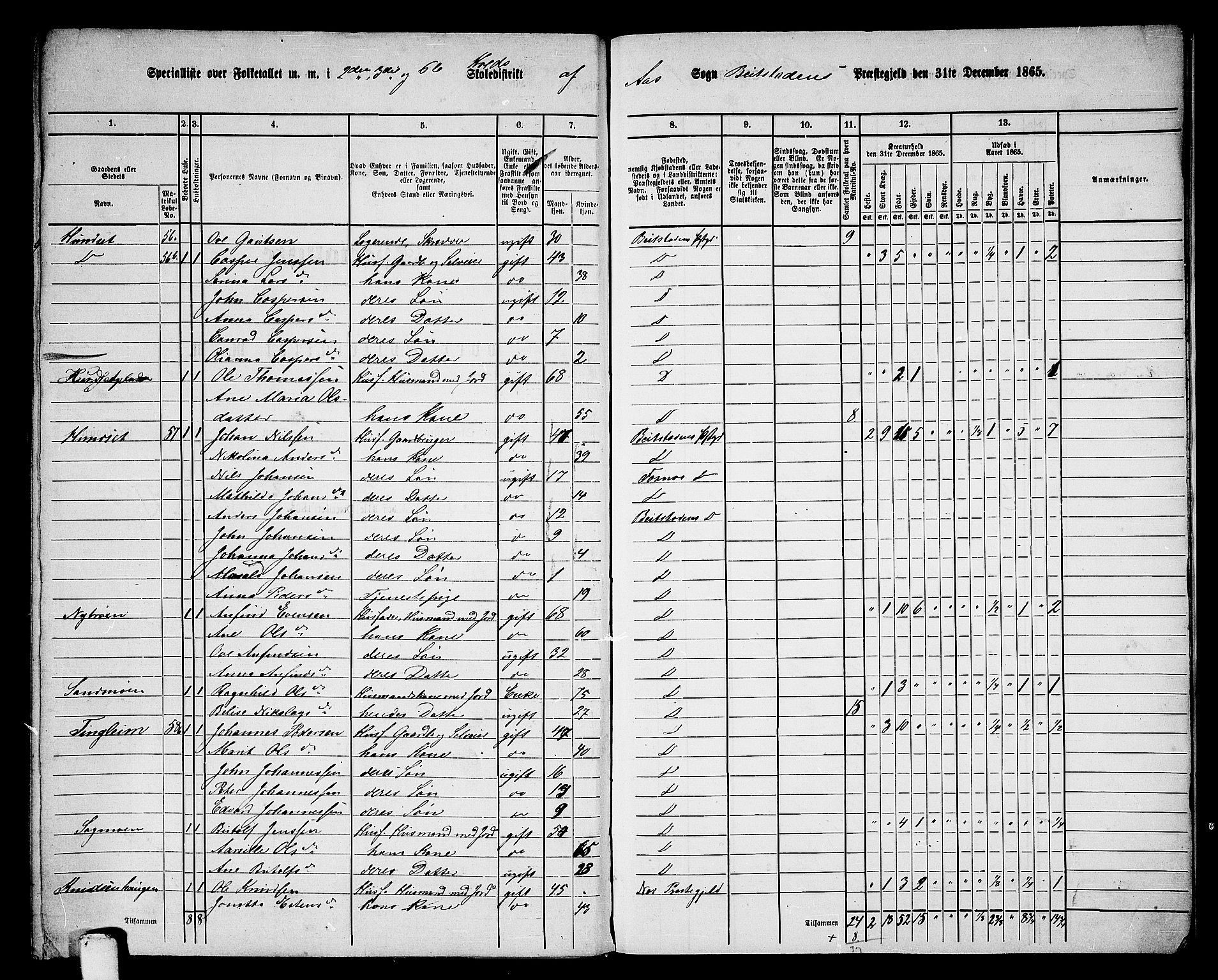 RA, 1865 census for Beitstad, 1865, p. 198